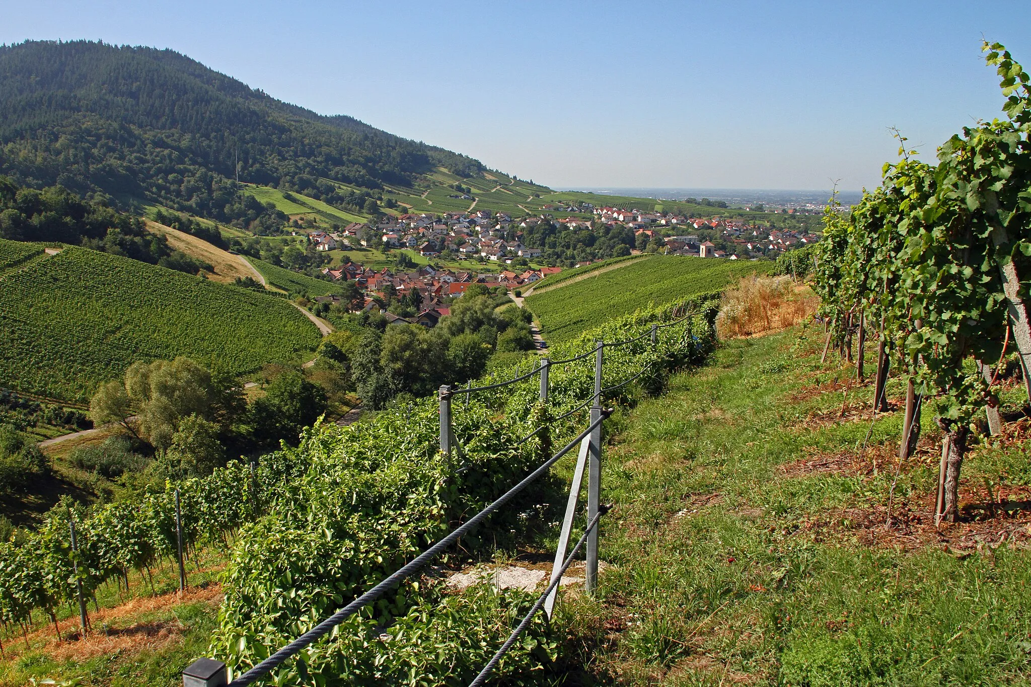 Photo showing: Baden-Baden-Neuweier
