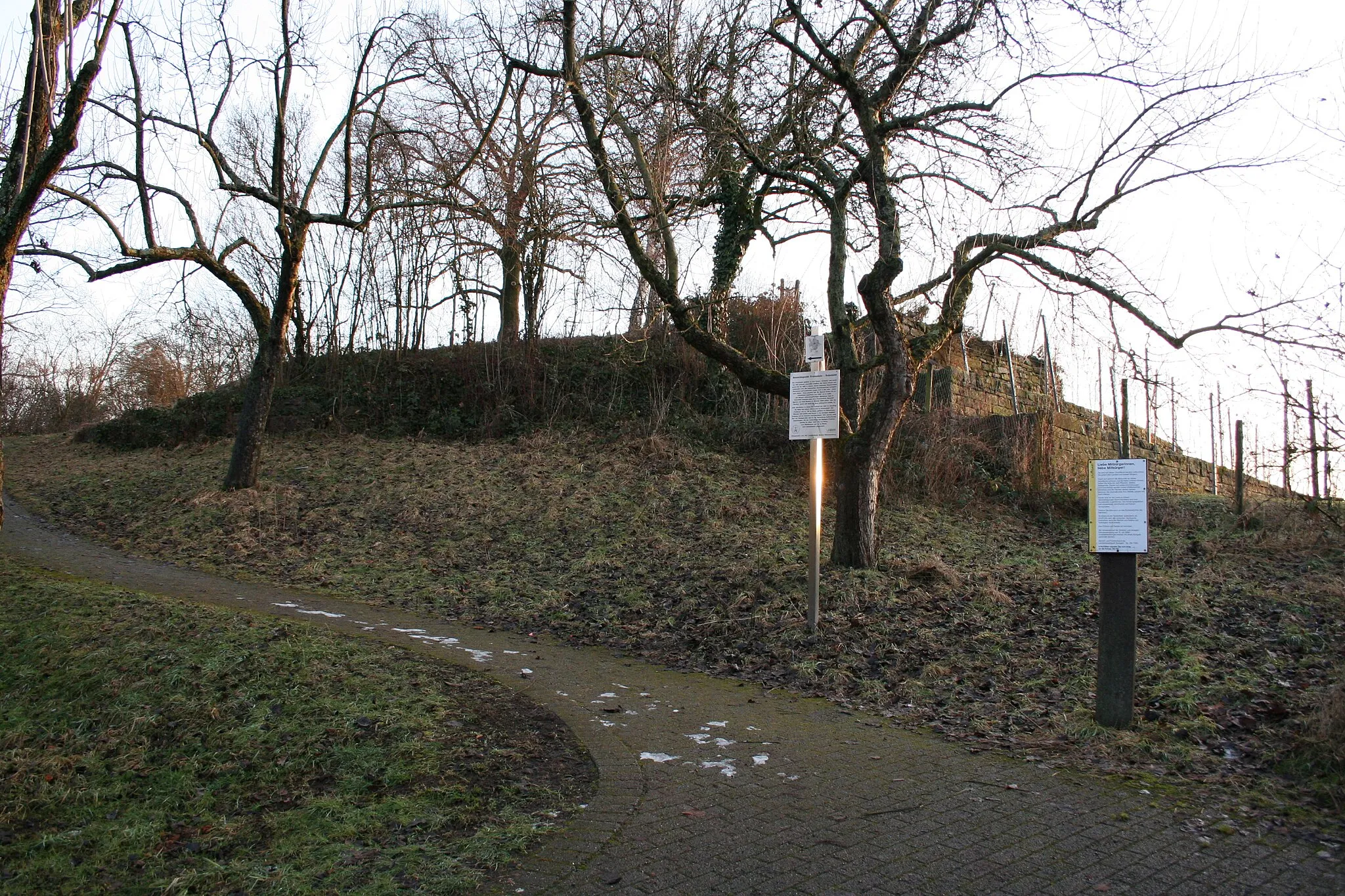 Photo showing: Burgstelle Freienstein in Stuttgart-Freiberg