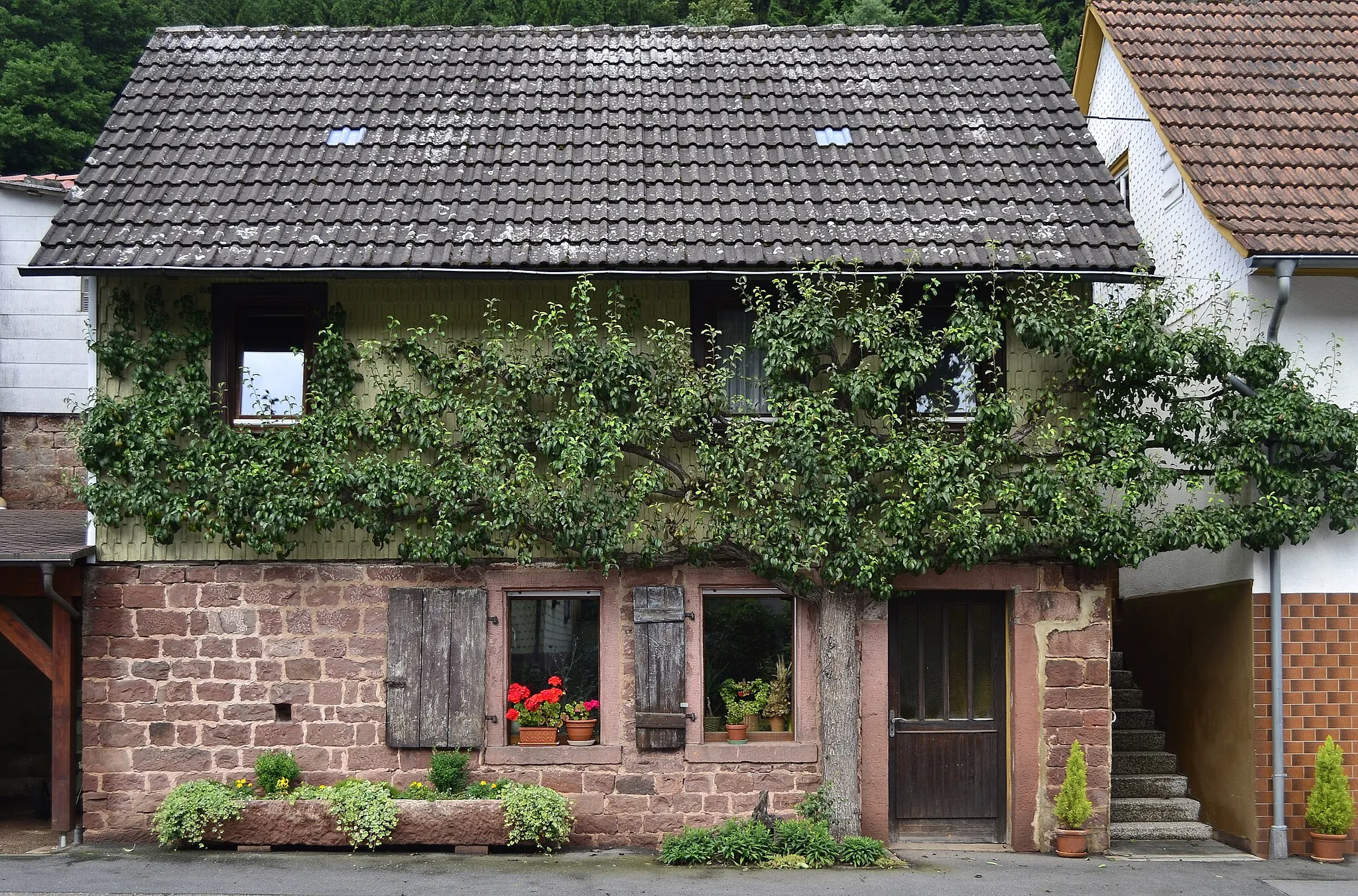 Photo showing: Obere Siegfriedstr. 27 in Schöllenbach Gemeinde Hesseneck