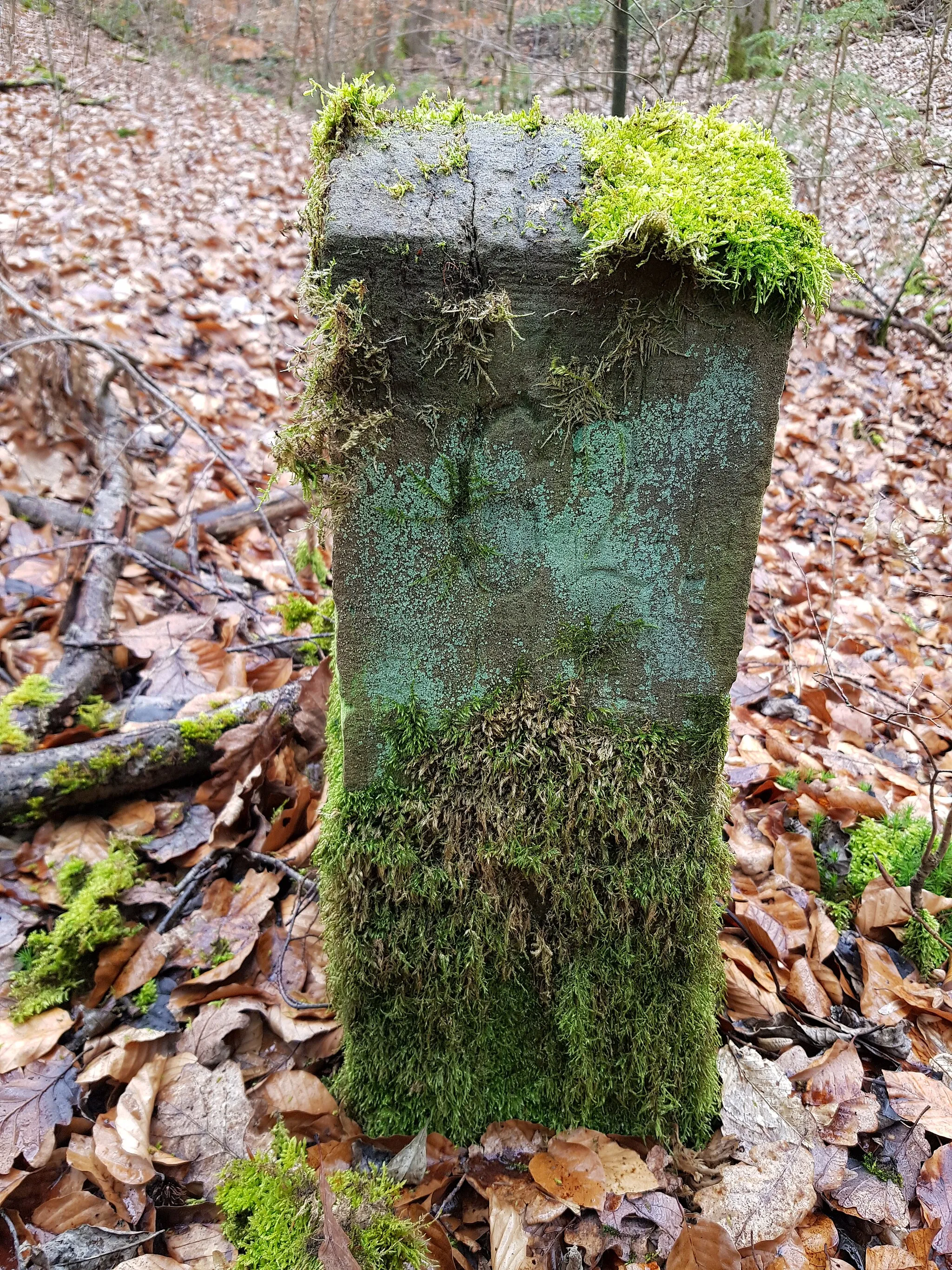 Photo showing: Grenzstein HKSt Nr. 101/32 Seite 1, Standort: Knaupentalweg, Grenzverlauf zwischen den Stadtteilen: Wildpark (Bezirk: Stuttgart-West) und Feuerbacher Tal (Stadtbezirk: Feuerbach), Stadt: Stuttgart, Deutschland, Breitengrad: 48.78194444444444, Längengrad: 9.109166666666667