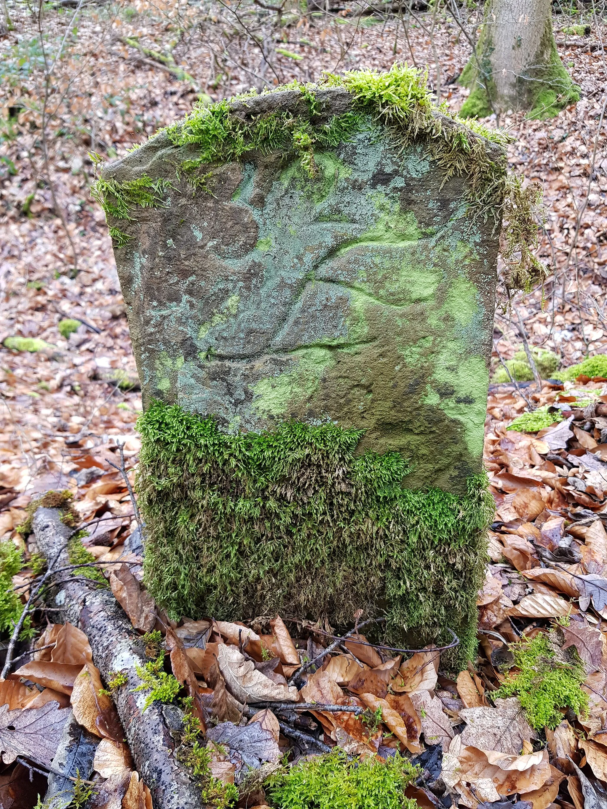 Photo showing: Grenzstein HKSt Nr. 101/32 Seite 4, Standort: Knaupentalweg, Grenzverlauf zwischen den Stadtteilen: Wildpark (Bezirk: Stuttgart-West) und Feuerbacher Tal (Stadtbezirk: Feuerbach), Stadt: Stuttgart, Deutschland, Breitengrad: 48.78194444444444, Längengrad: 9.109166666666667