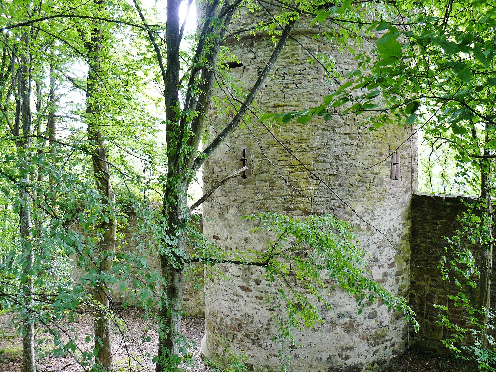 Photo showing: Burg Steinegg