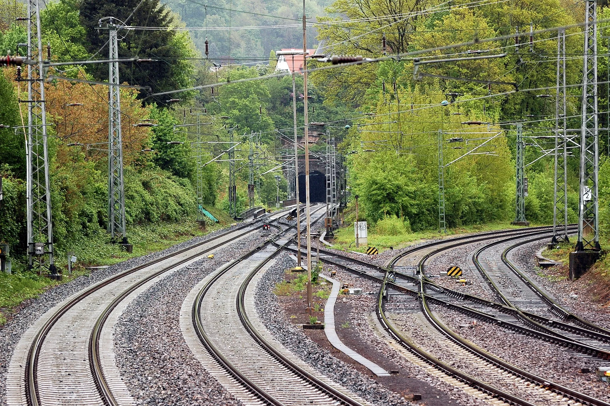 Photo showing: Neckargemünd - Eisenbahnstrecke S1 (links) und S5, S51 (rechst)