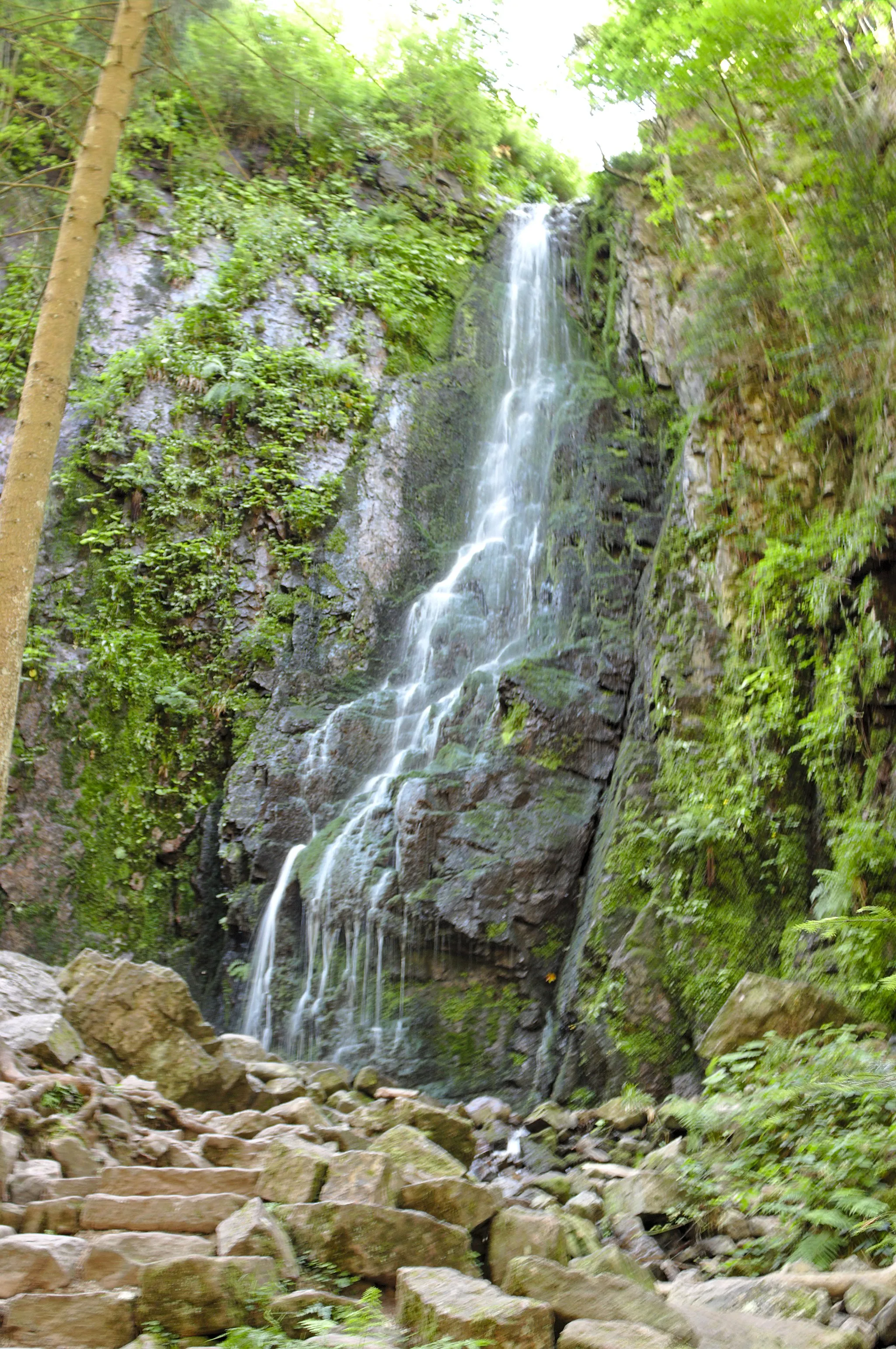 Photo showing: Burgbachwasserfall