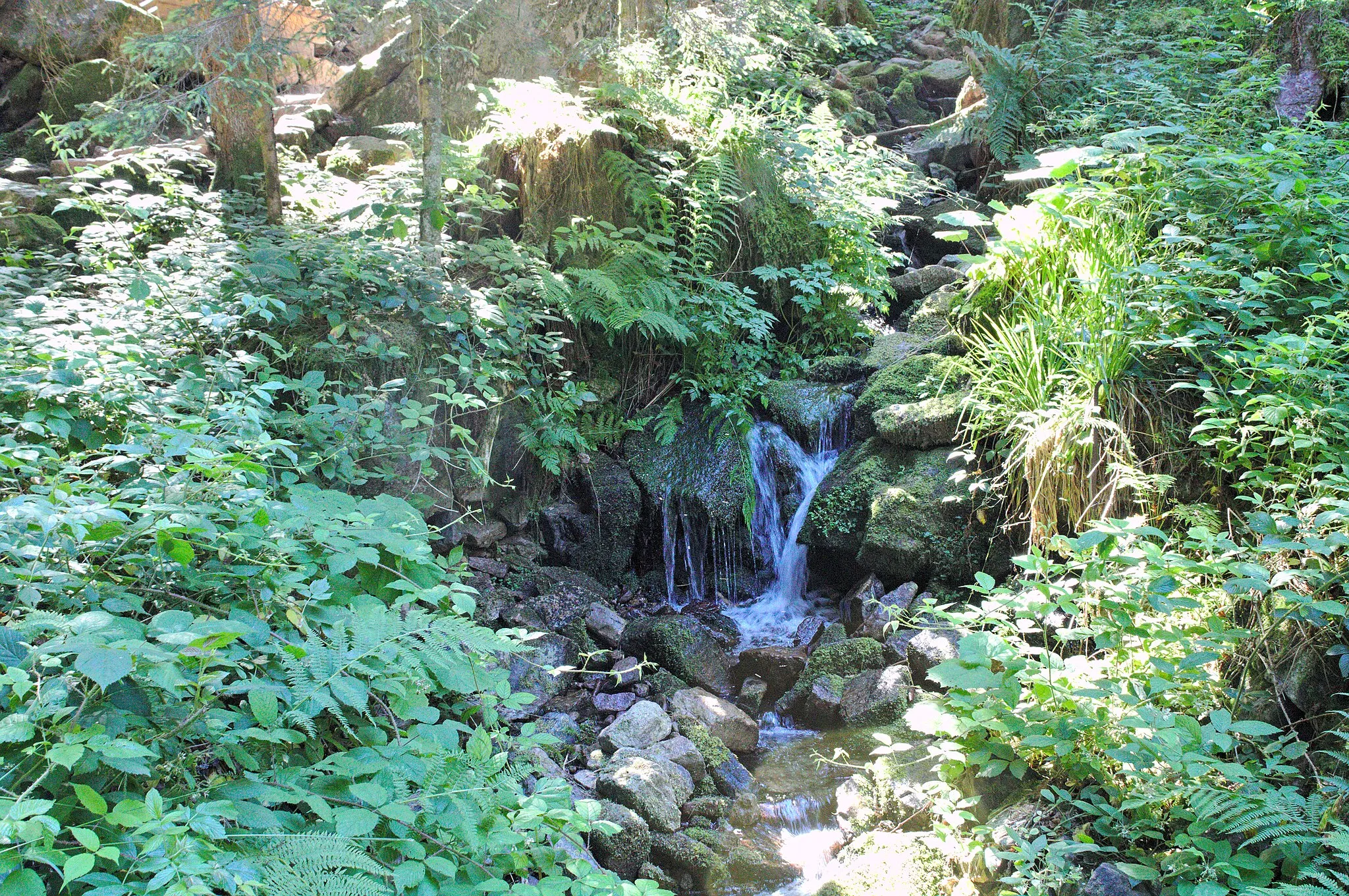 Photo showing: Burgbachwasserfall