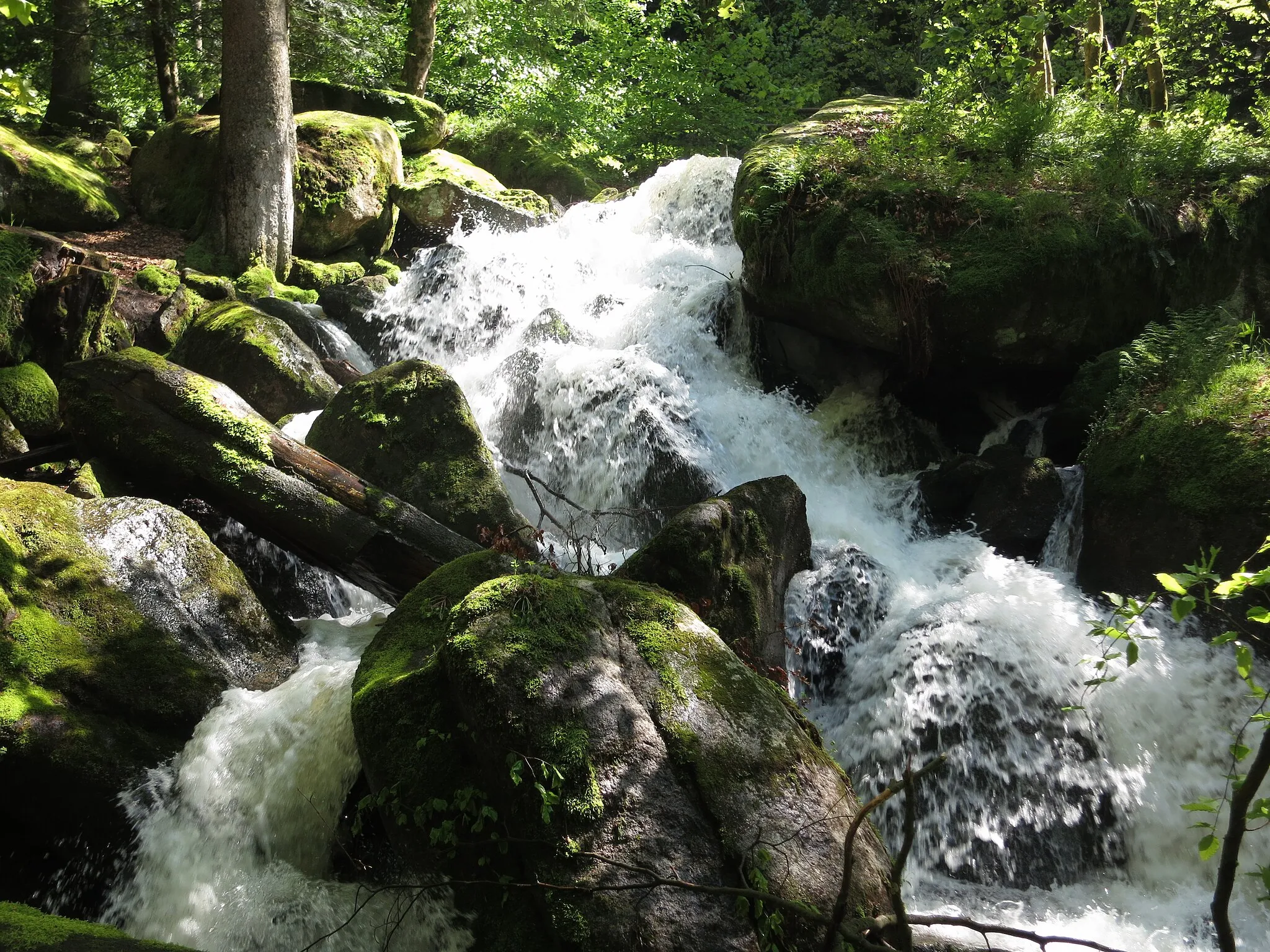 Photo showing: Gertelbach-Wasserfälle bei Bühlertal im Nordschwarzwald.