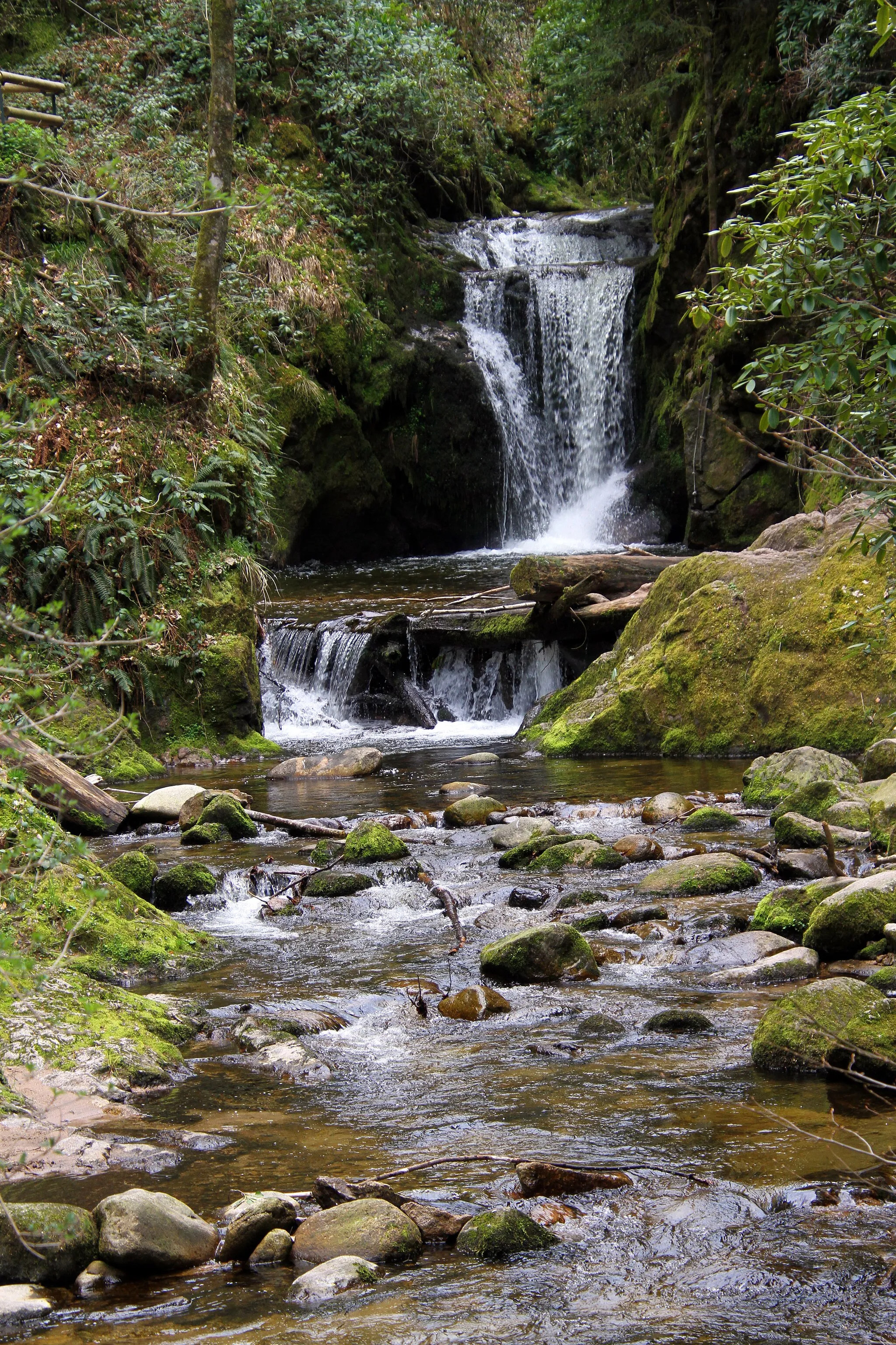 Photo showing: Waterfall near Baden-Baden-Geroldsau