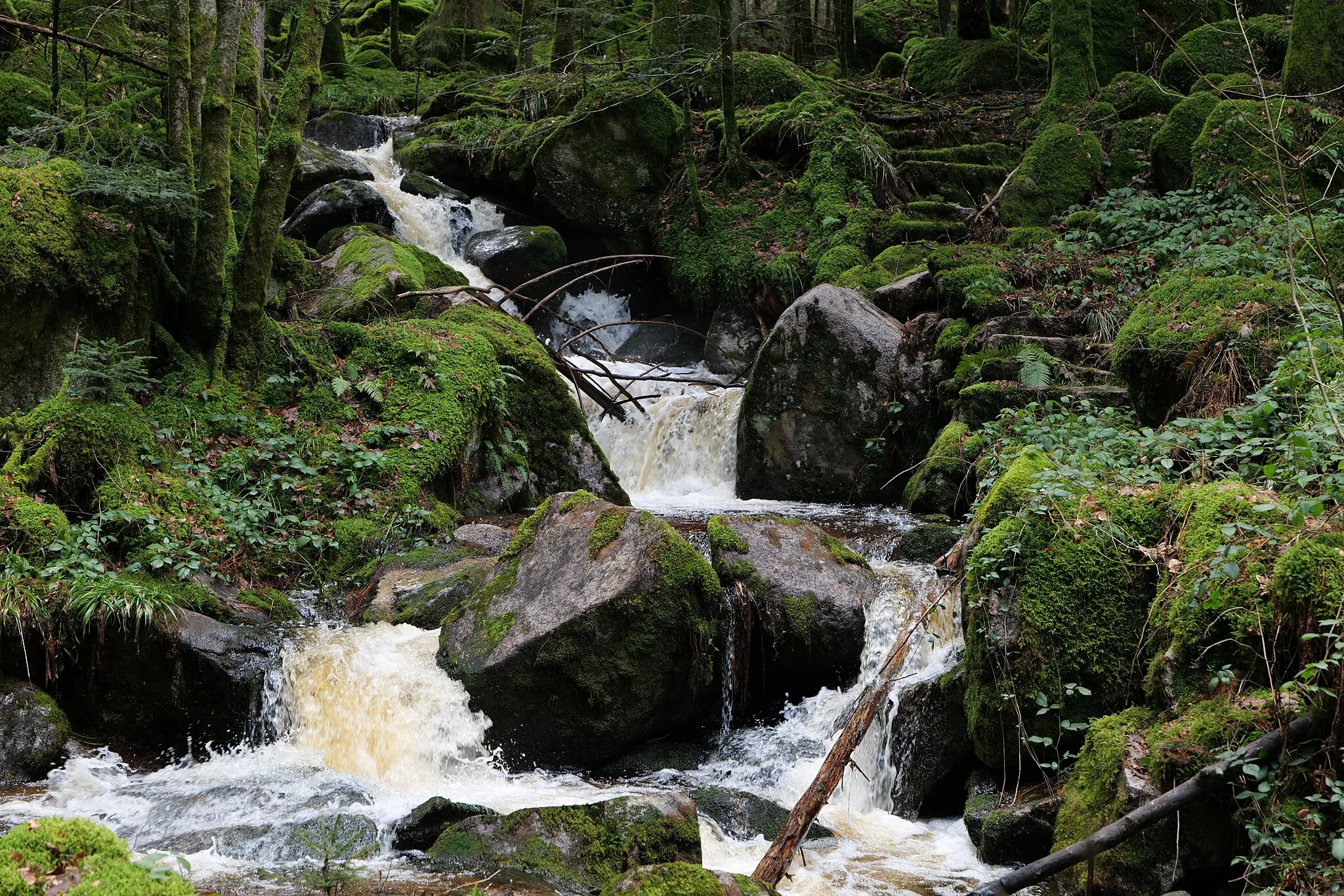 Photo showing: Grimbach Wasserfall bei Baden-Baden am 13. März 2020.