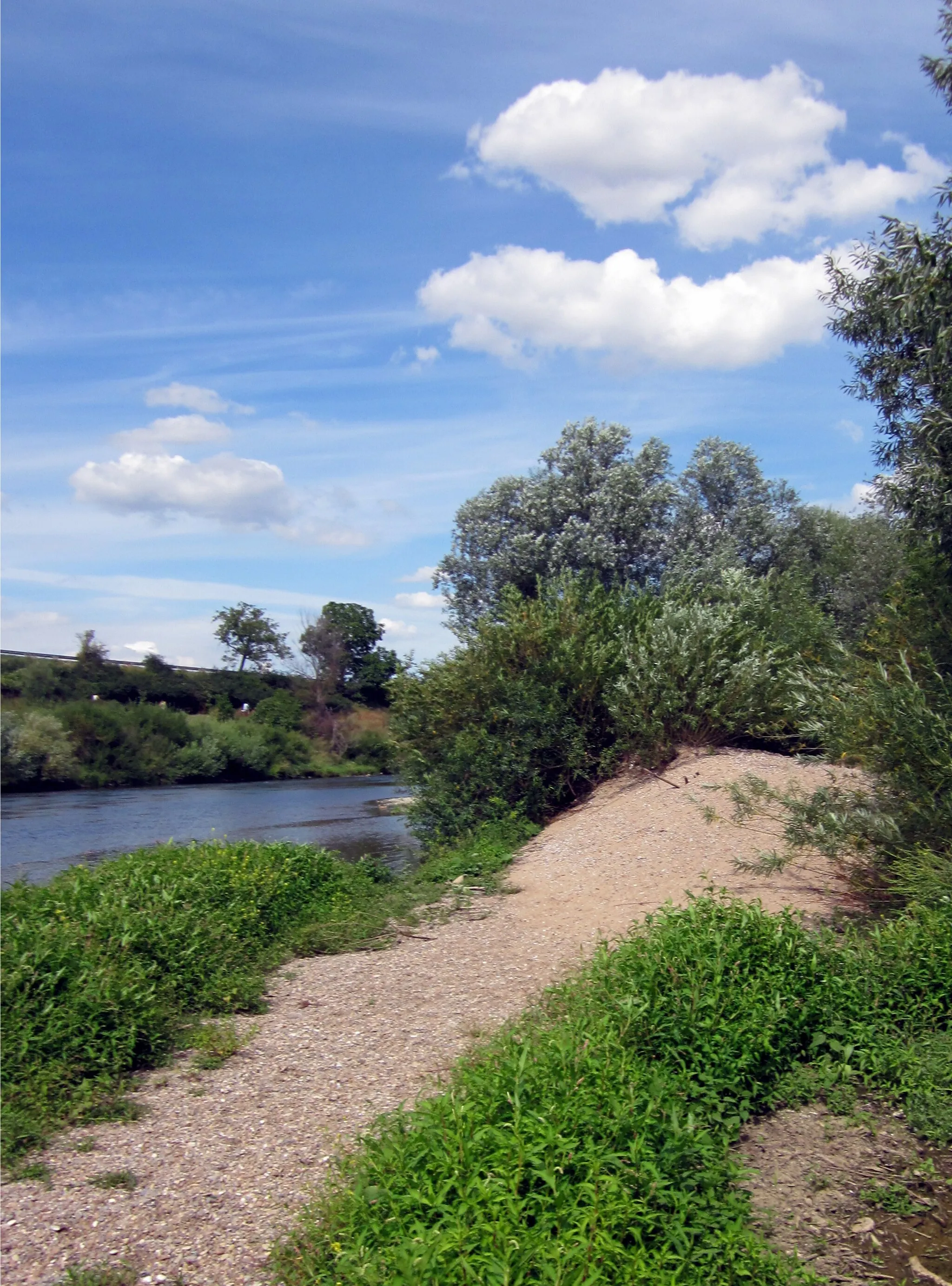 Photo showing: Altneckar im Naturschutzgebiet in Höhe von Edingen-Neckarhausen