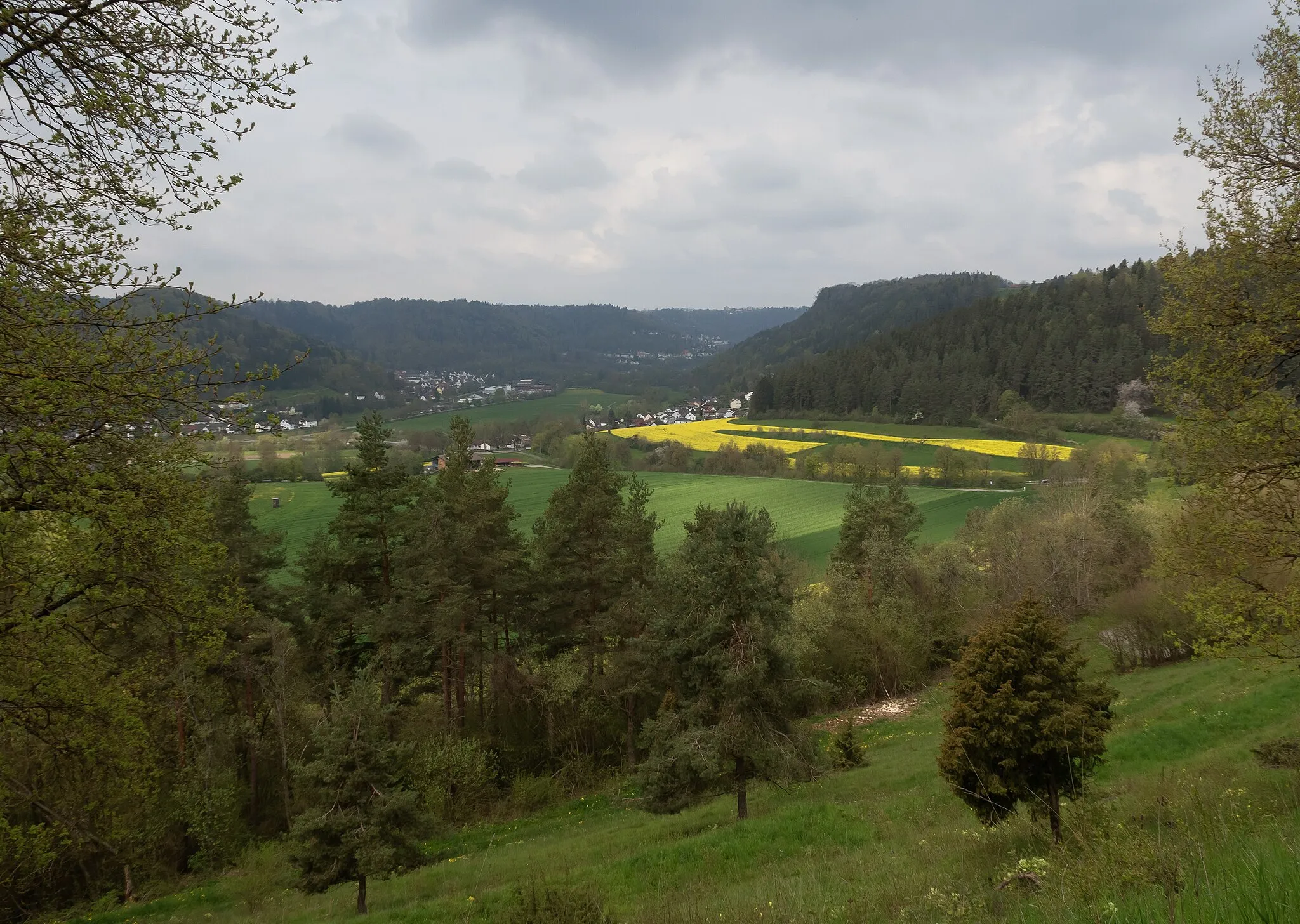Photo showing: probably Bochingen, view to the village