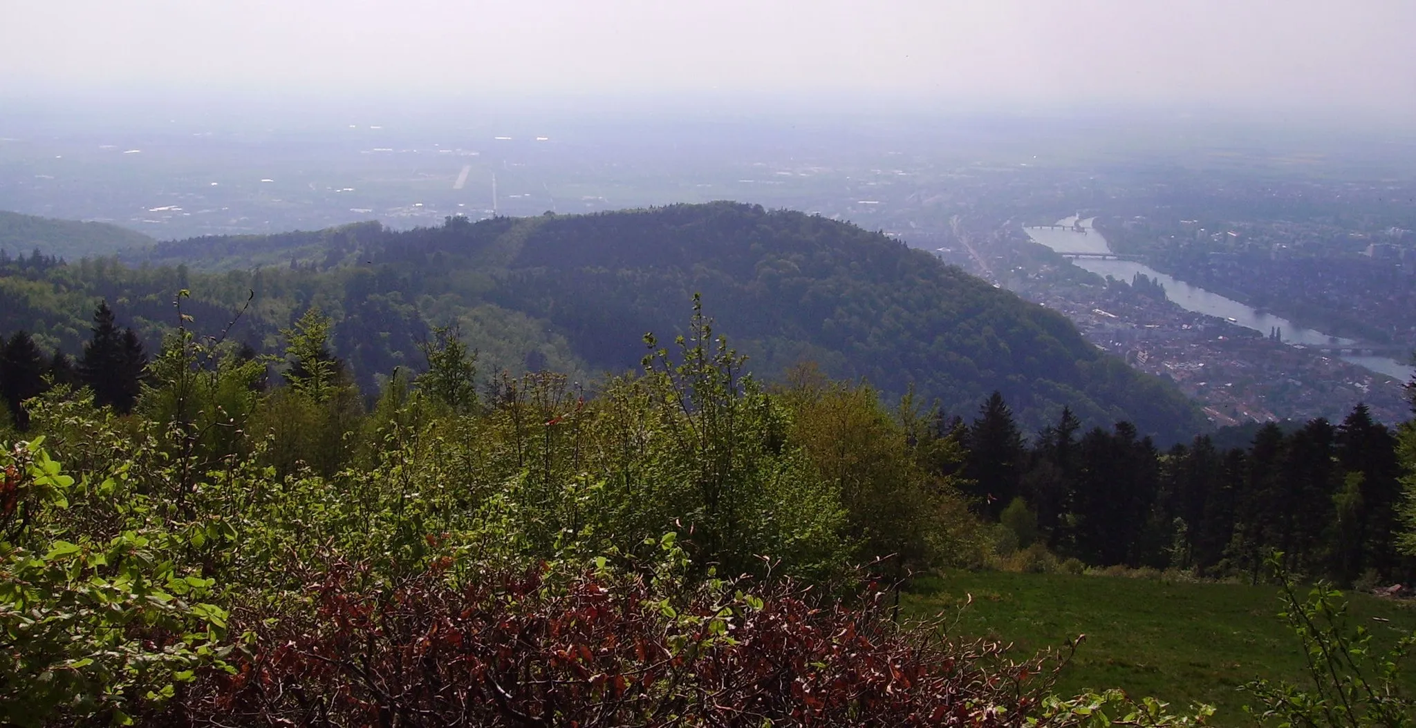 Photo showing: from top of Königstuhl (mountain) in Heidelberg, Germany