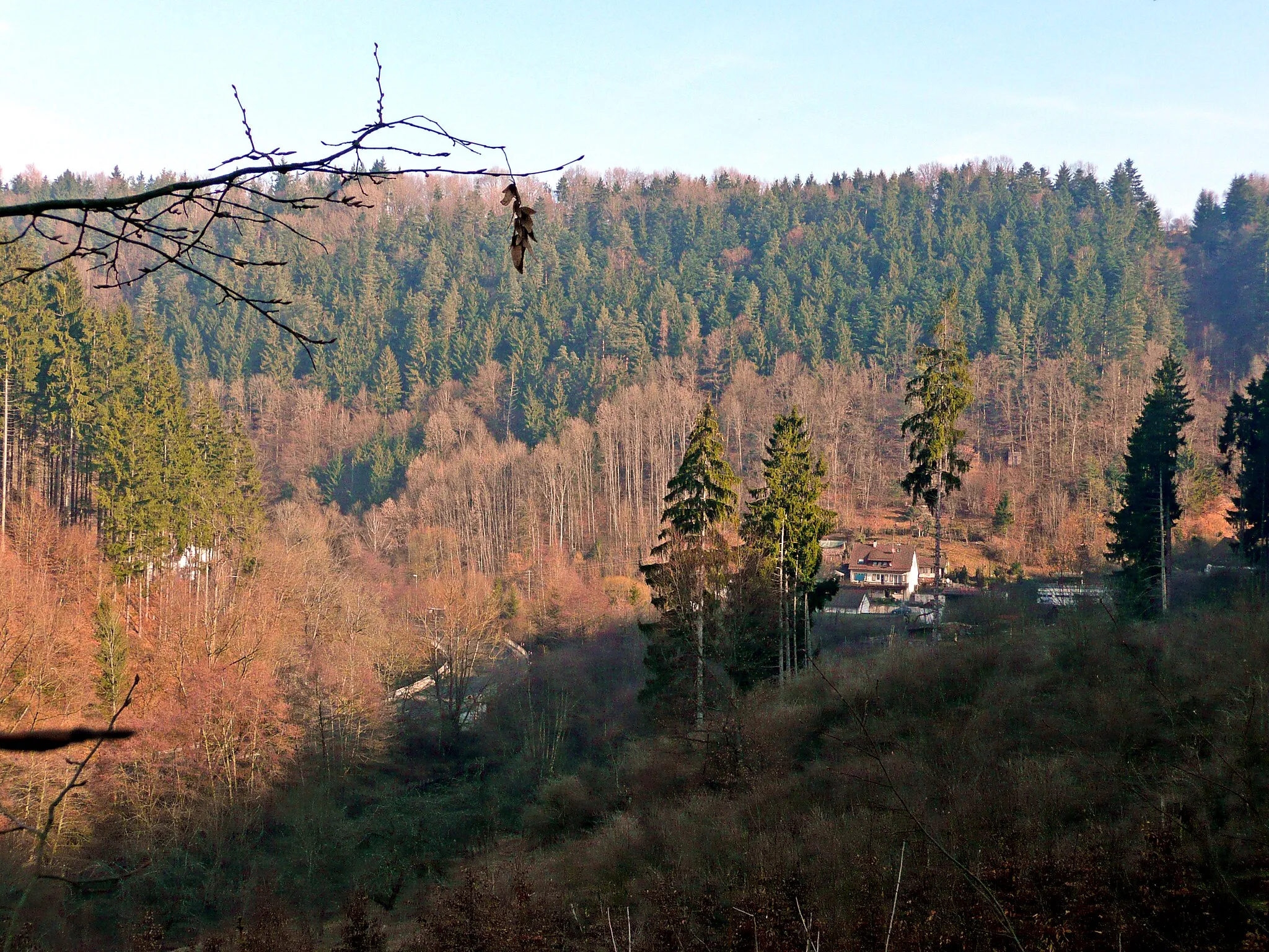 Photo showing: Blick in das Nagoldtal Richtung Norden