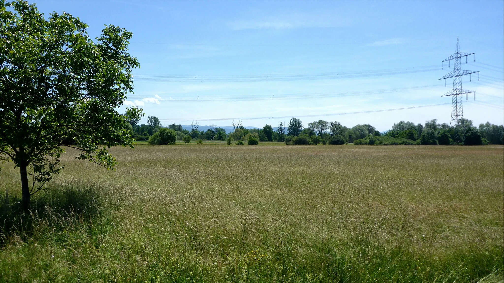 Photo showing: Landschaftsschutzgebiet „Rheinniederung zwischen Au am Rhein, Durmersheim und Rheinstetten” is a Protected landscape area in Baden-Württemberg, Germany.