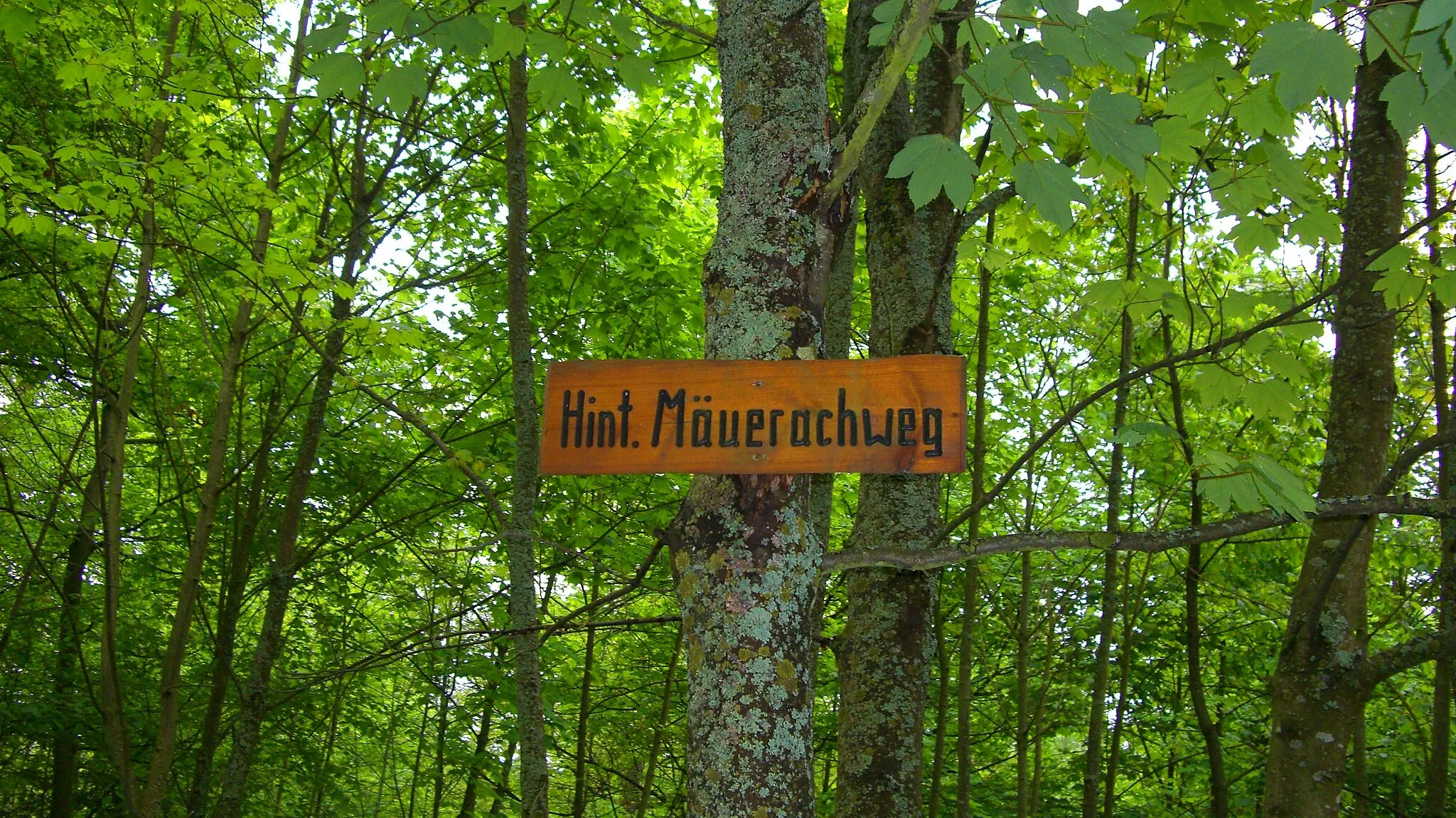Photo showing: Hint. Mäuerachweg