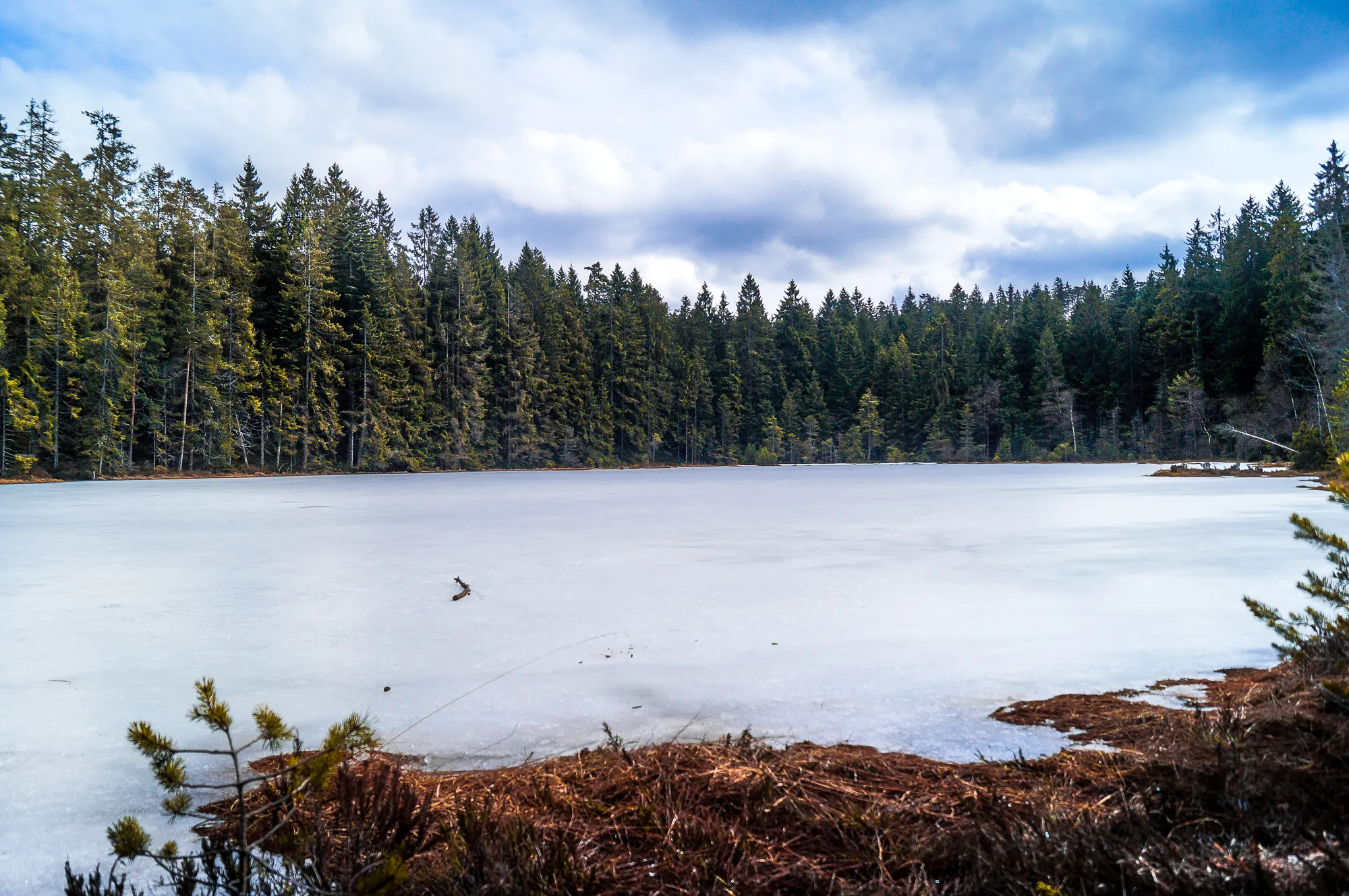 Photo showing: Herrenwieser See, frozen lake lake in the Black Forest