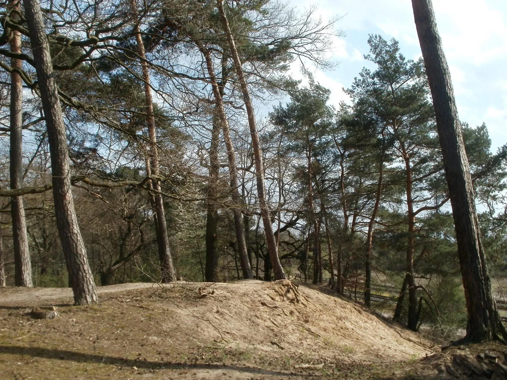 Photo showing: Naturschutzgebiet Hirschacker und Dossenwald