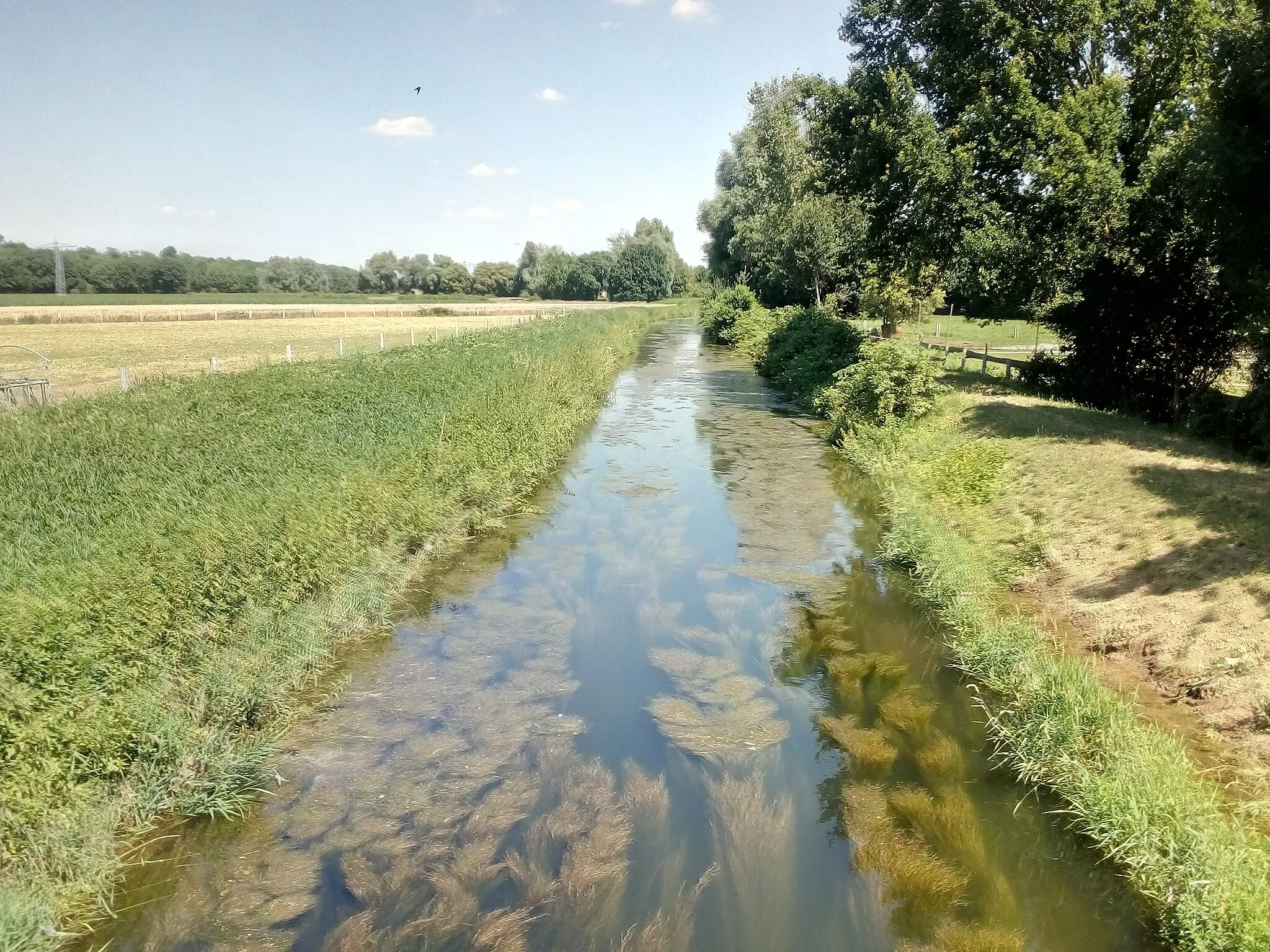 Photo showing: Kraichbach in Hochlage bei den Aussiedlerhöfen Bruchhöfe, Bad Schönborn-Mingolsheim