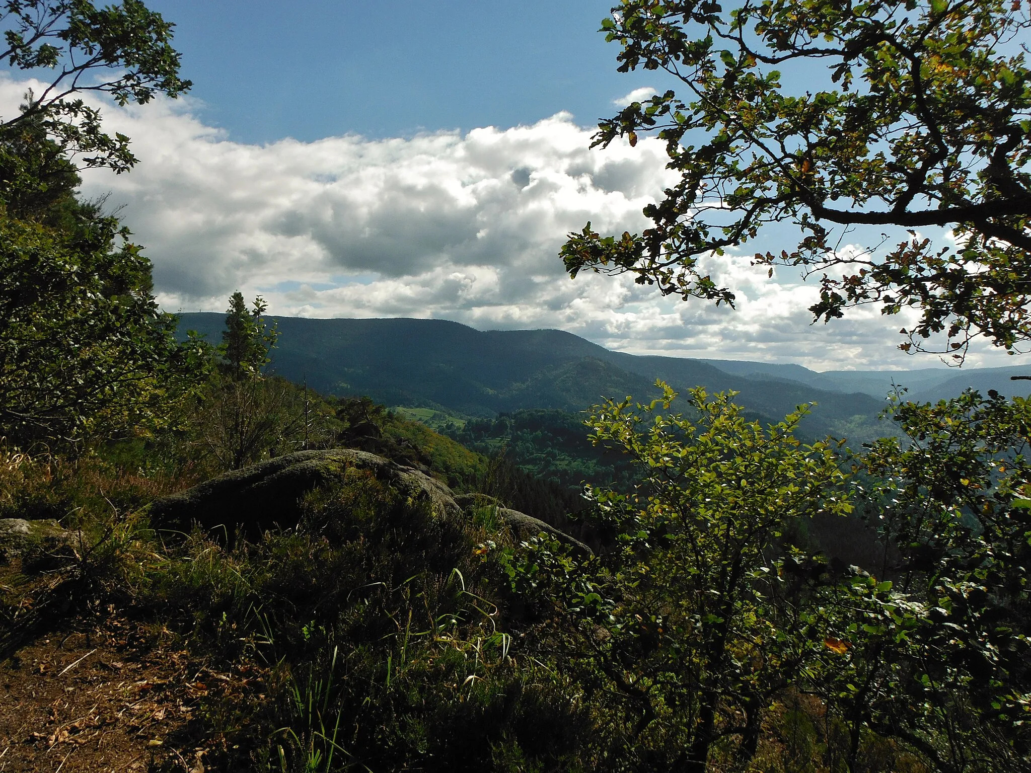 Photo showing: Felsenweg am Rockertfelsen (1)