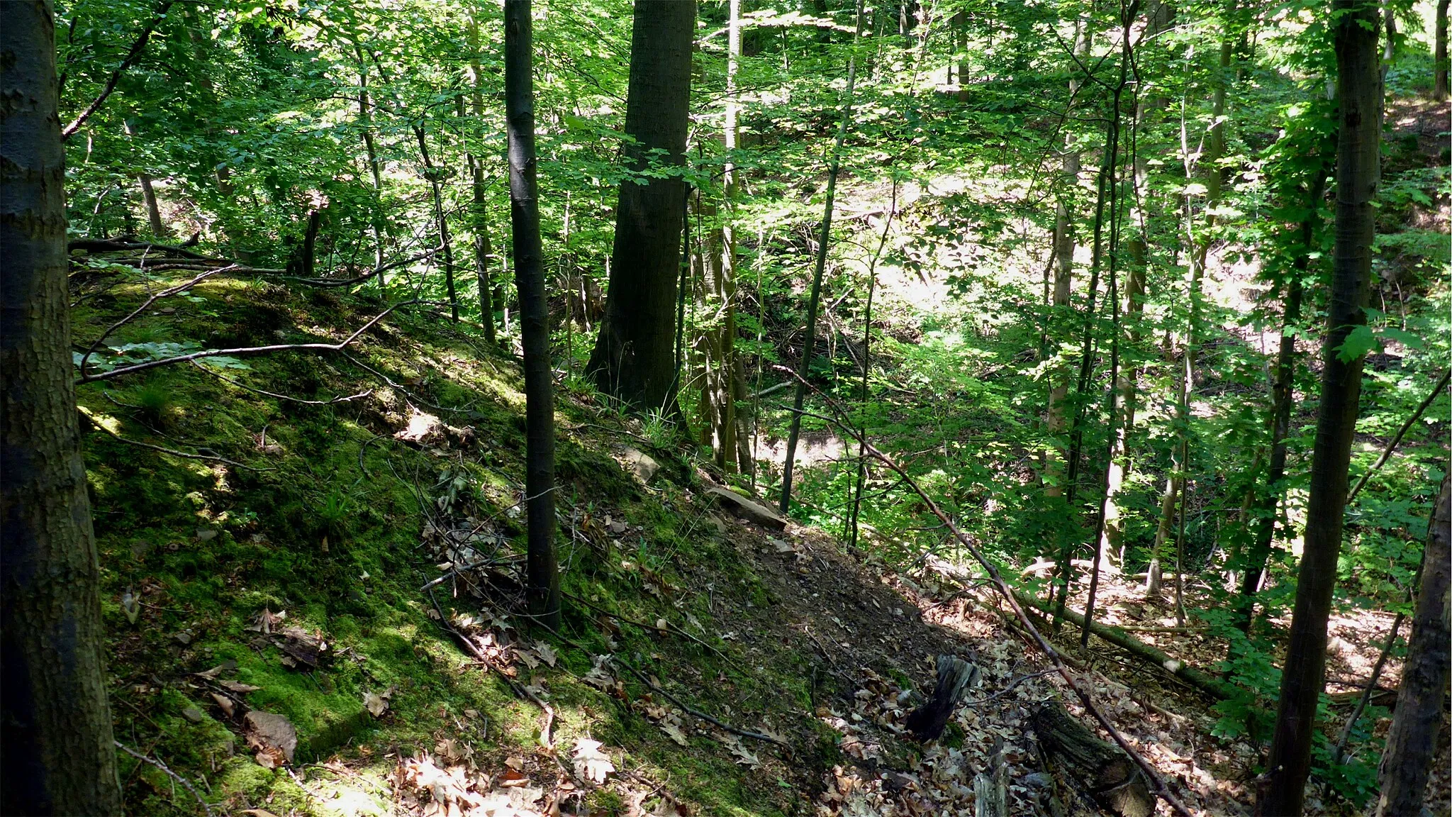 Photo showing: Naturschutzgebiet „Kälberklamm und Hasenklamm“ is a nature reserve in Baden-Württemberg, Germany.