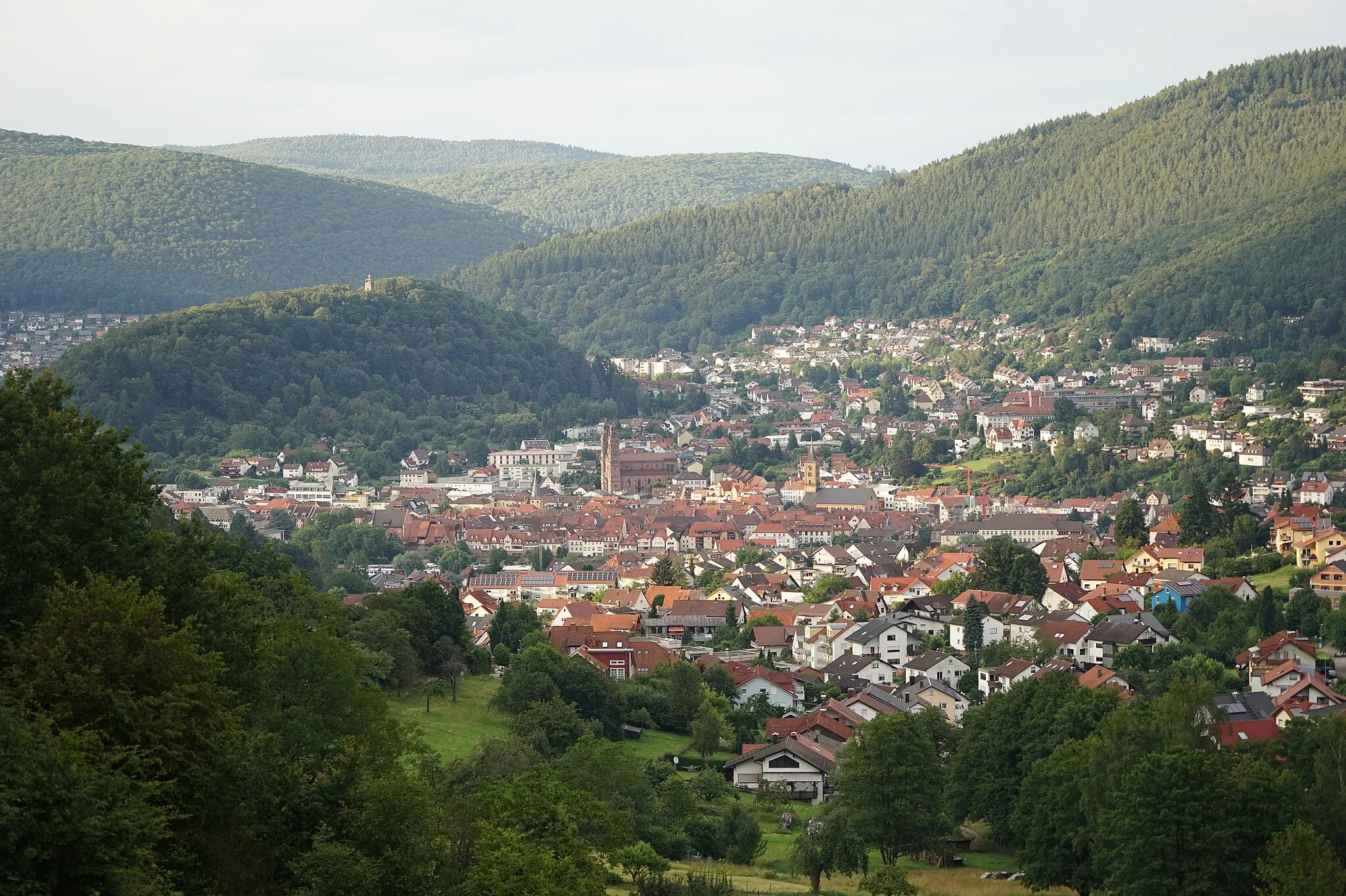 Photo showing: Eberbach (Baden) – Ansicht vom Parkplatz an der Wimmersbacher Steige, d.h. aus Südwesten.