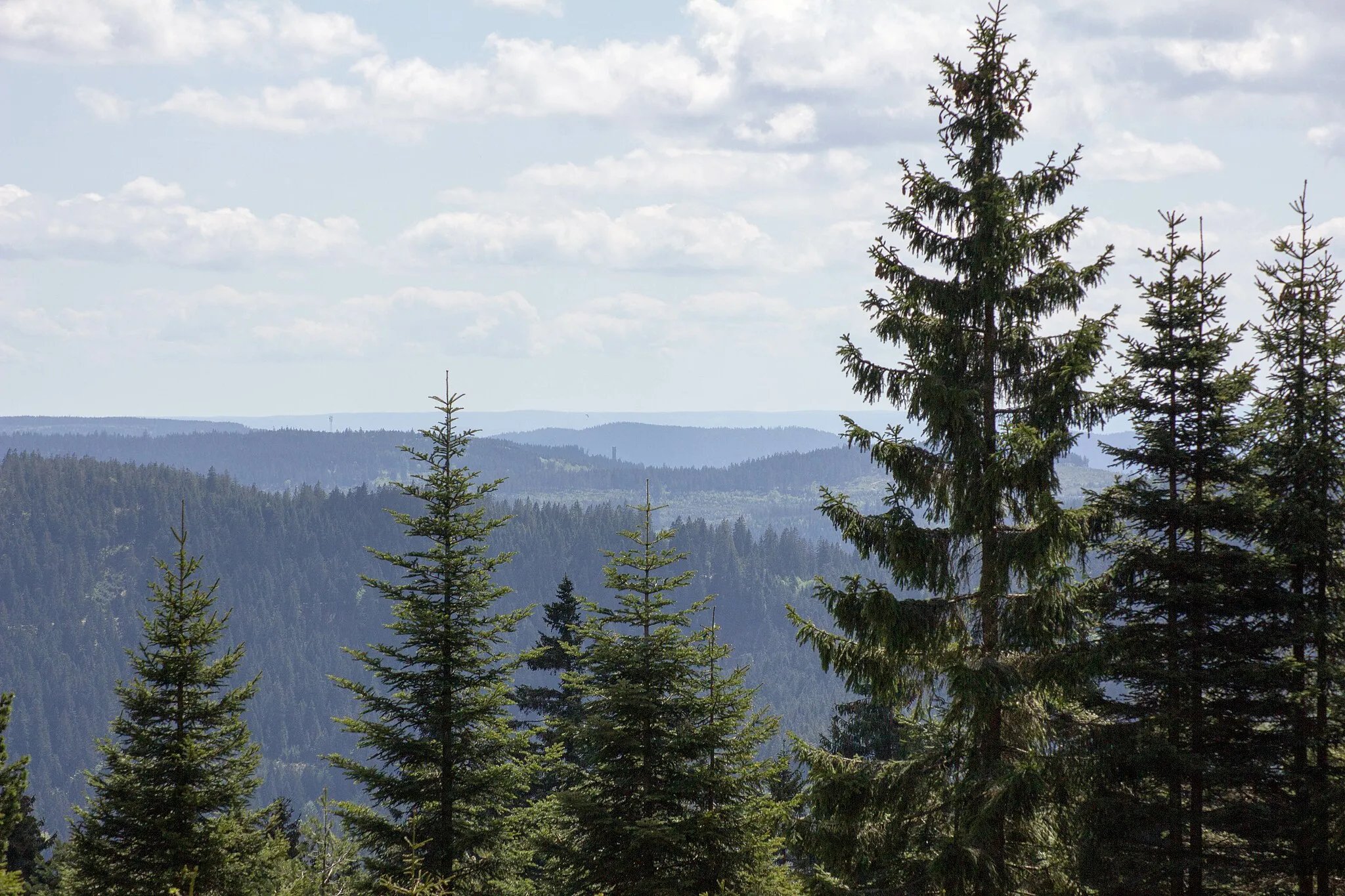 Photo showing: Blick vom Seekopf bei Ruhestein im Nordschwarzwald nach Süden. Über die Wolfachhöhe vorne bis zum Rossbühl im Mittelgrund gehört die Landschaft zum Nationalpark Schwarzwald. Die Berge im Hintergrund liegen im Mittleren Schwarzwald.