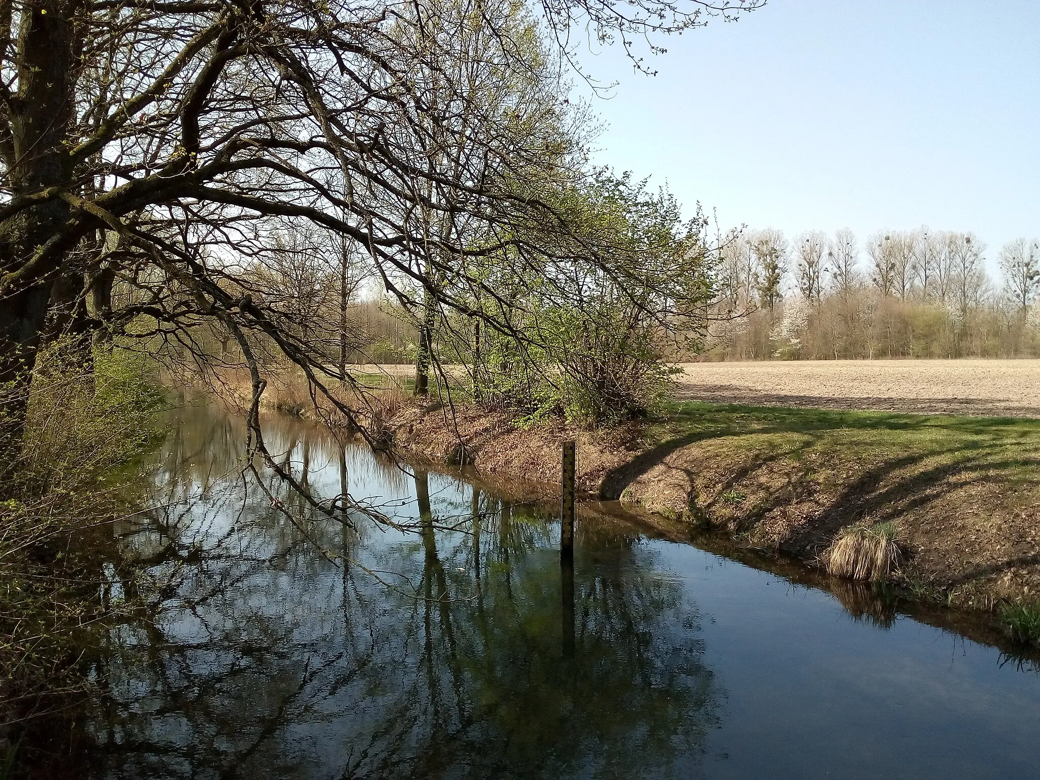 Photo showing: Rheinniederungskanal südlich von Iffezheim