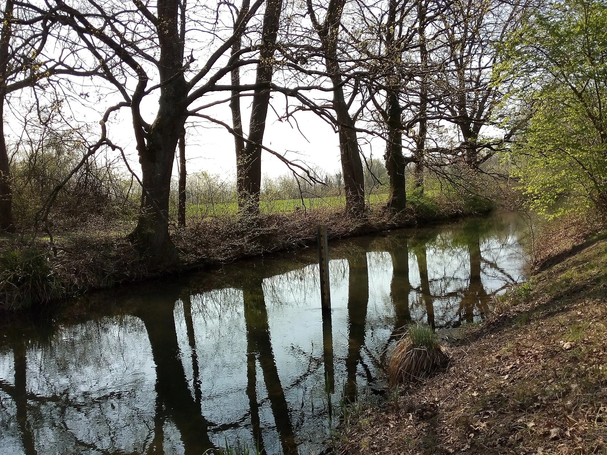 Photo showing: Rheinniederungskanal südlich von Iffezheim