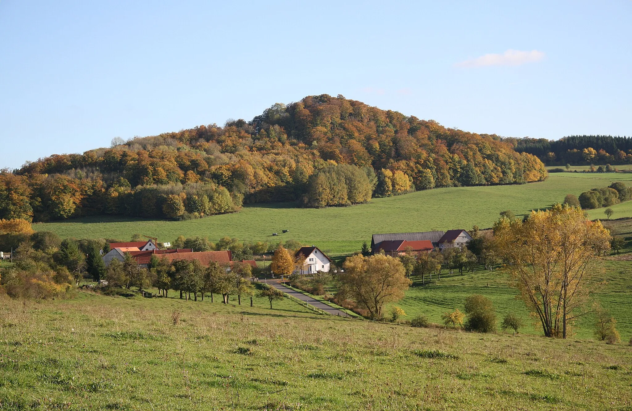 Photo showing: Kühlkuppe bei Reinhards (Stadt Geisa, Wartburgkreis), Thüringische Rhön, Blick etwa von Nordwesten über Reinhards hinweg