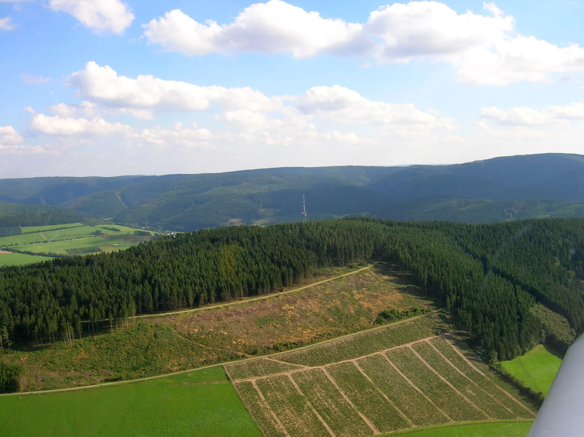 Photo showing: Beerenberg near Schmallenberg, Germany, seen from the north