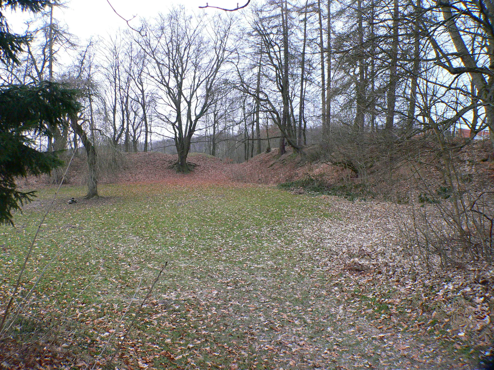 Photo showing: Ehemalige Burg Sensenstein: nord-westlicher Teil des Burgareals mit erhaltenem Wall