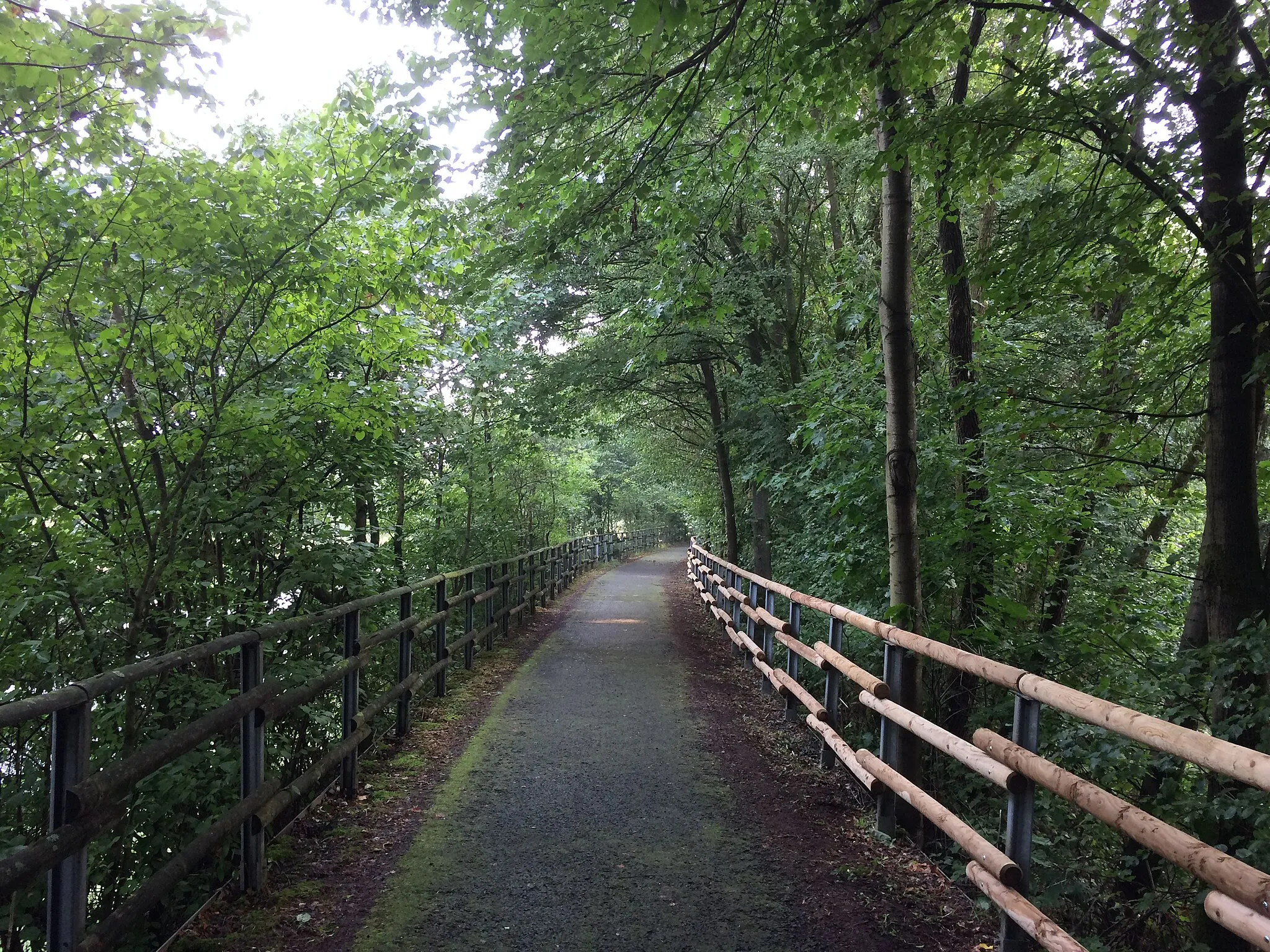 Photo showing: Schwalm-Efze-Weg (R 14) im Schützenwald an der Bundesstraße 254 zwischen der Ziegelhütte (Abzweig B 254) und Niedergrenzebach