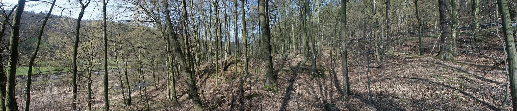 Photo showing: panorama of Sinzigburg, centered hill with wall fortifications (Motte-and-bailey)