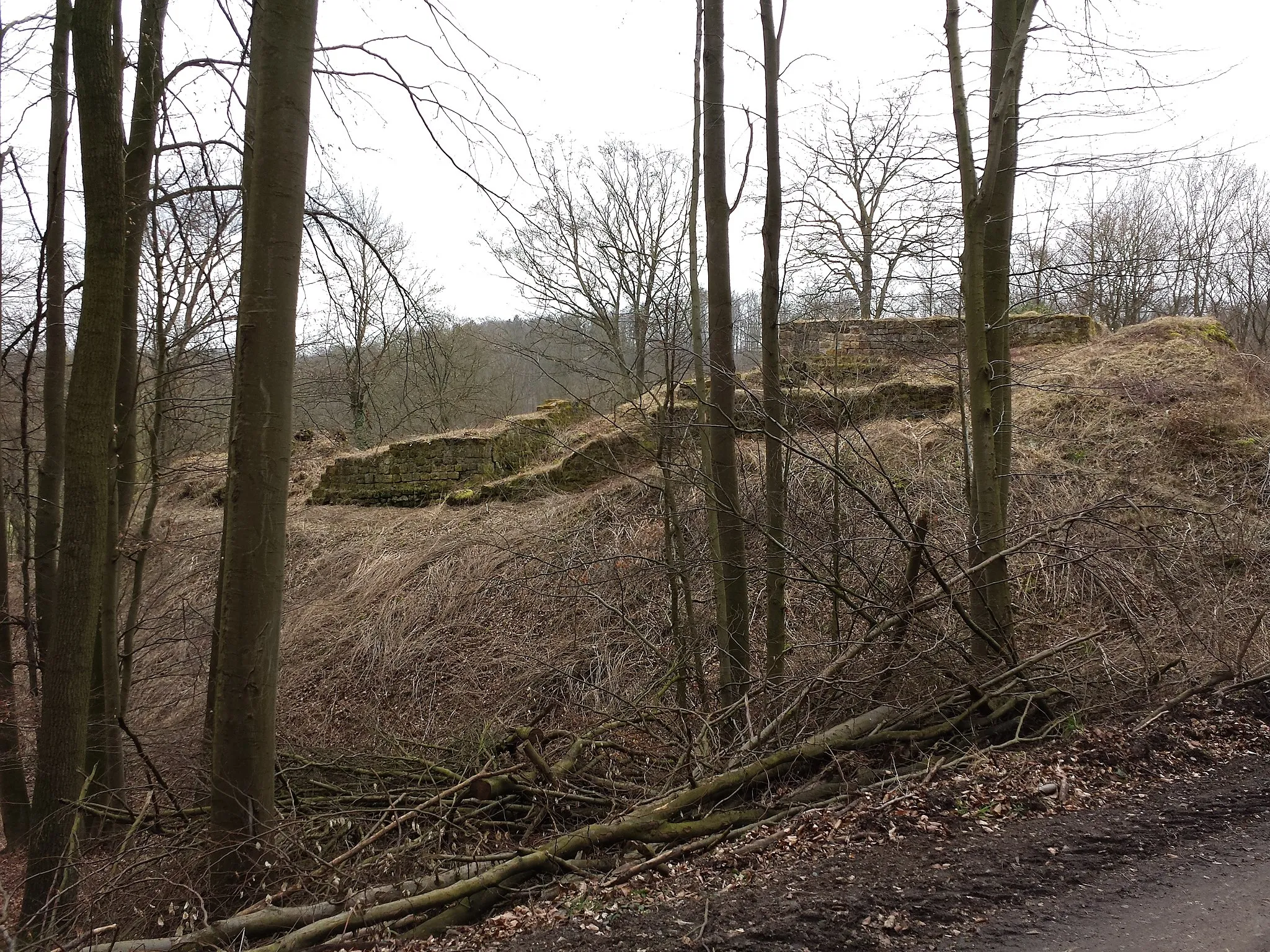 Photo showing: Seitenansicht der Burgruine Rodersen (Zustand Anfang März 2014), gelegen zwischen Volkmarsen und Wolfhagen