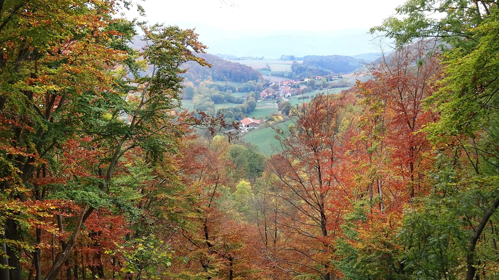 Photo showing: Asbach ist ein Ortsteil der Gemeinde Asbach-Sickenberg in der Verwaltungsgemeinschaft Uder im Landkreis Eichsfeld.
Der Bereich um die Ruine Altenstein befindet sich im:

Flora-Fauna-Habitat-Gebiet 4726-320 „Stein-Rachelsberg-Gobert“
EU-Vogelschutzgebiet 4626-420 „Werrabergland südwestlich Uder“,
Naturpark „Eichsfeld-Hainich-Werratal“ und
Landschaftsschutzgebiet „Obereichsfeld“