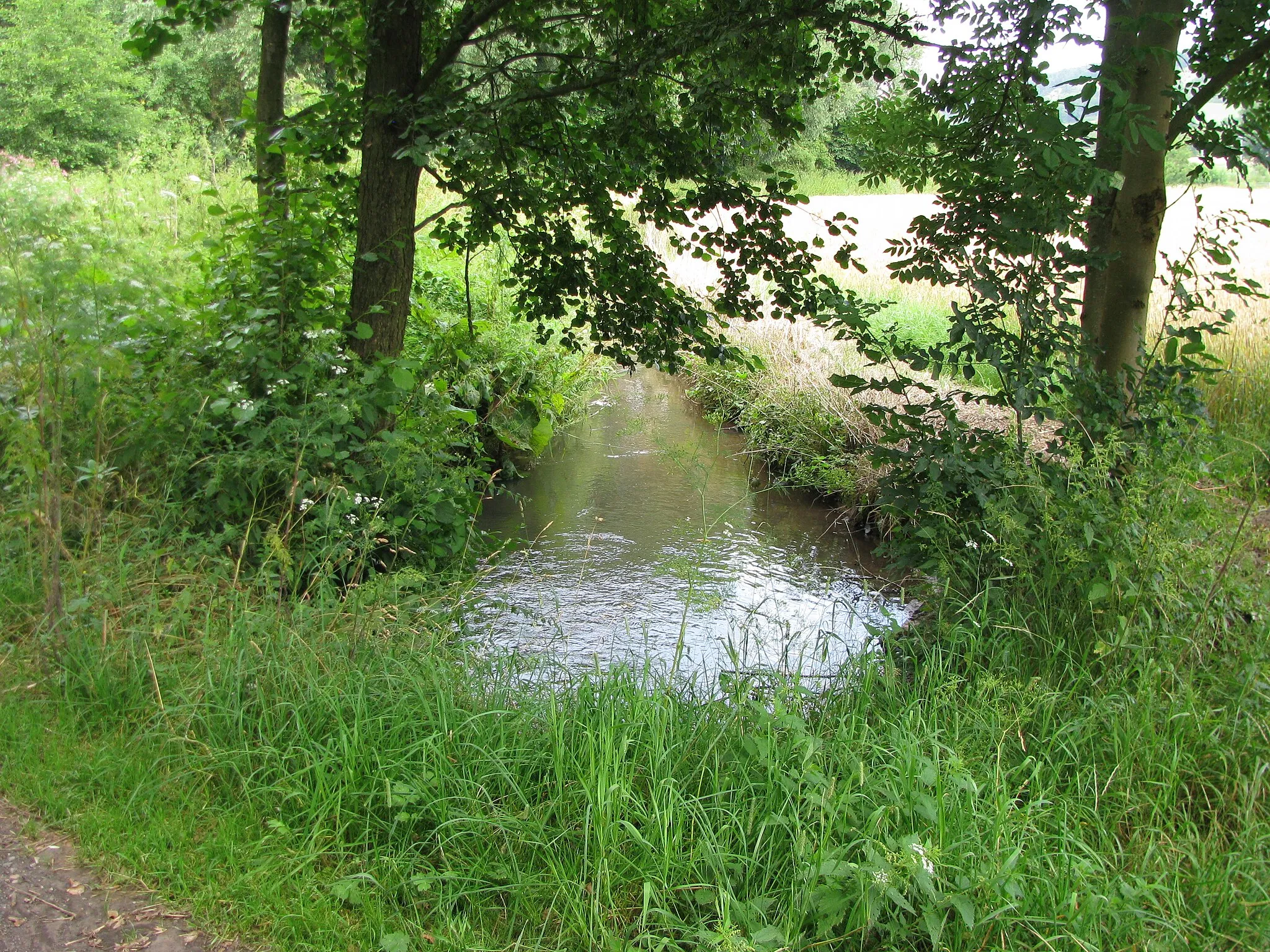 Photo showing: der Mühlenkanal neben der Warme zu der Neuen Mühle