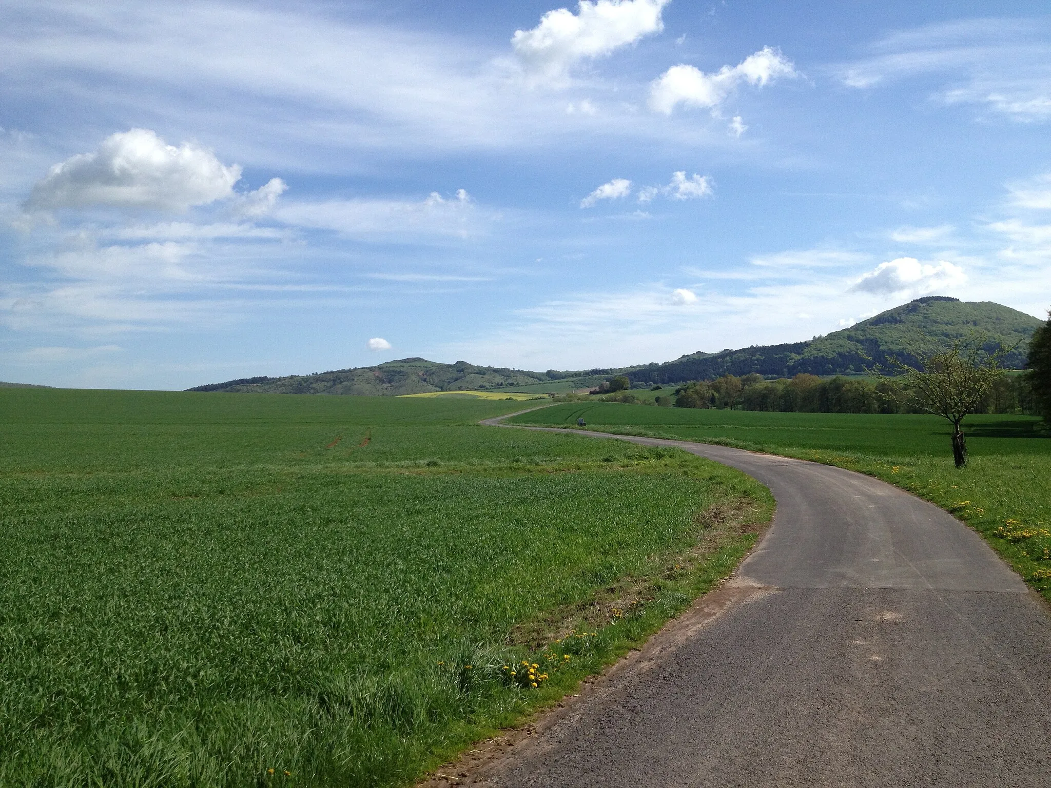 Photo showing: Der Warmetalweg (Hess. Radfernweg R4) zwischen Ehlen und Zierenberg