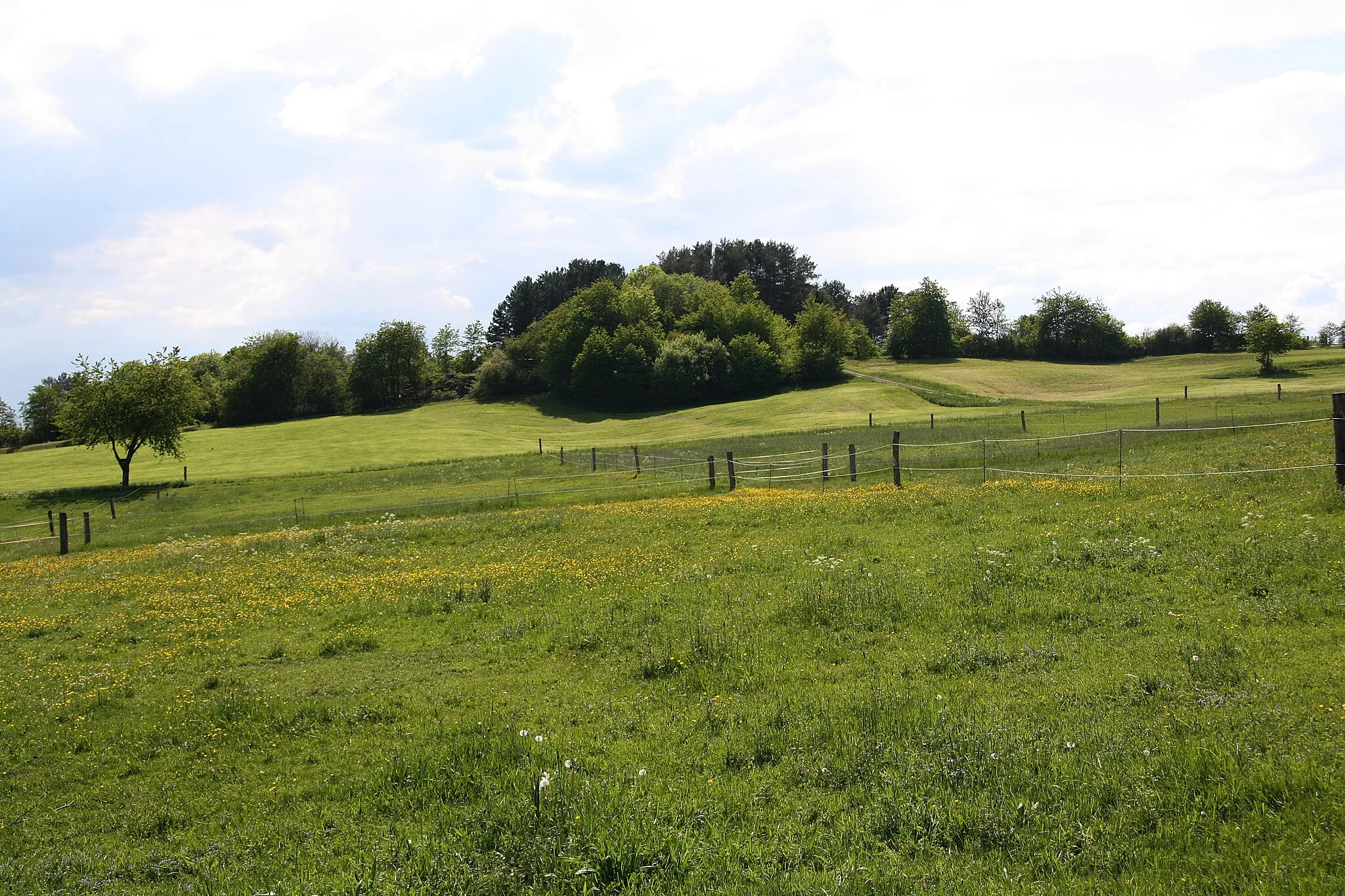 Photo showing: Der Maihügel bei Hünfeld-Molzbach
Object location 50° 40′ 12″ N, 9° 47′ 52″ E View this and other nearby images on: OpenStreetMap 50.670138;    9.797838