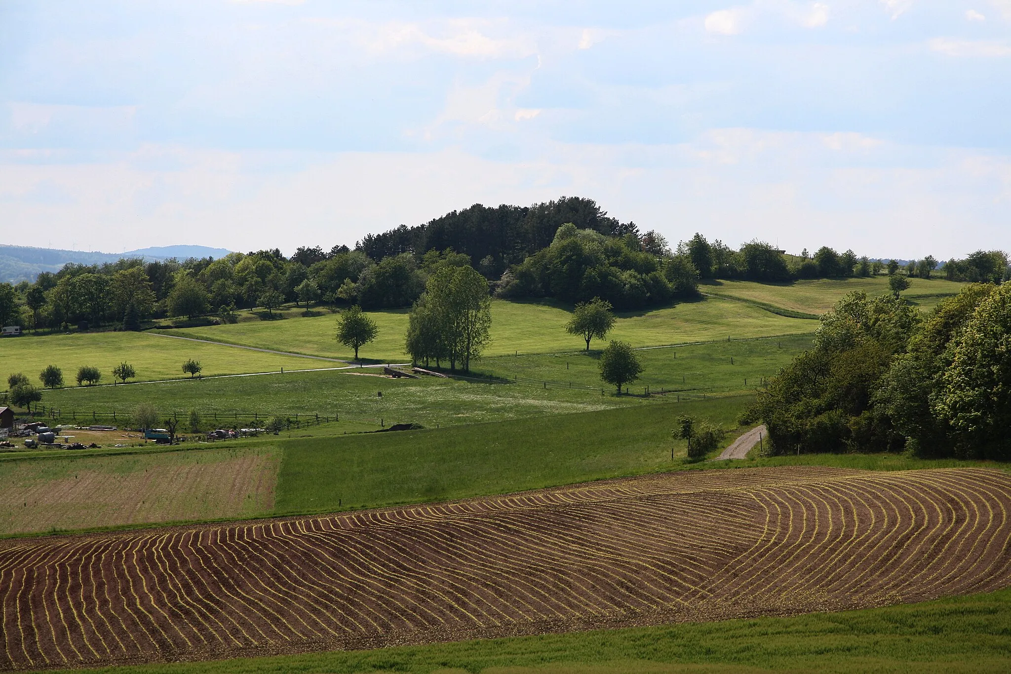 Photo showing: Der Maihügel bei Hünfeld-Molzbach
Object location 50° 40′ 12″ N, 9° 47′ 52″ E View this and other nearby images on: OpenStreetMap 50.670138;    9.797838