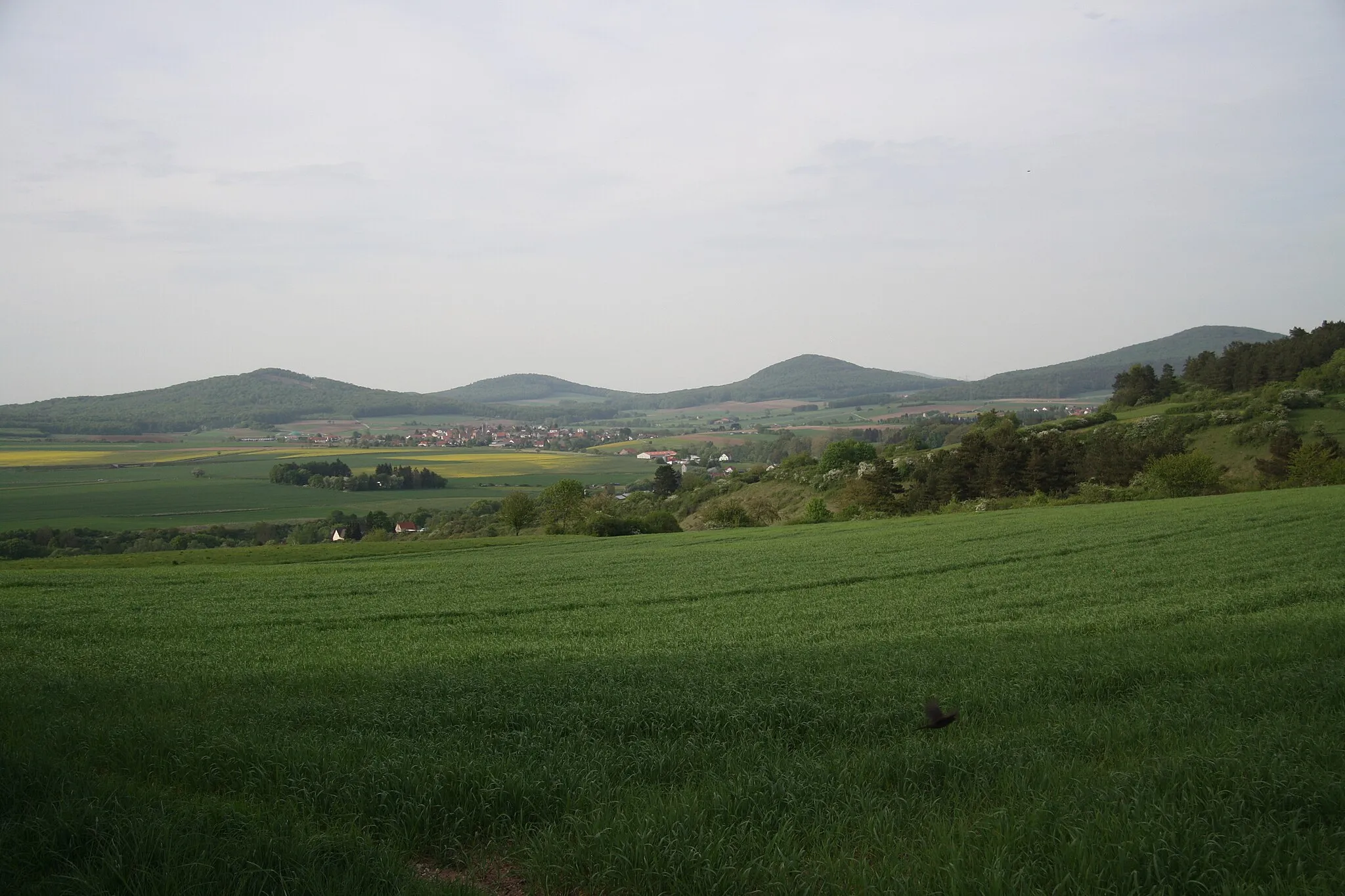 Photo showing: Blick vom Taubenberg bei Großenbach über die Nordwestausläufer des Rößberg nordwärts ins Hessische Kegelspiel (Landkreis Fulda, Soisberger Kuppenrhön). Von links: Wieselsberg, Rückersberg, Appelsberg, Stallberg