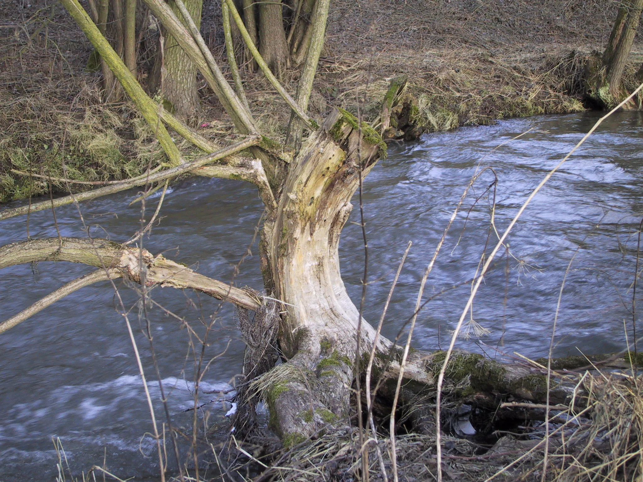 Photo showing: Der Fluss Nüst bei Silges, Gemeinde Nüsttal