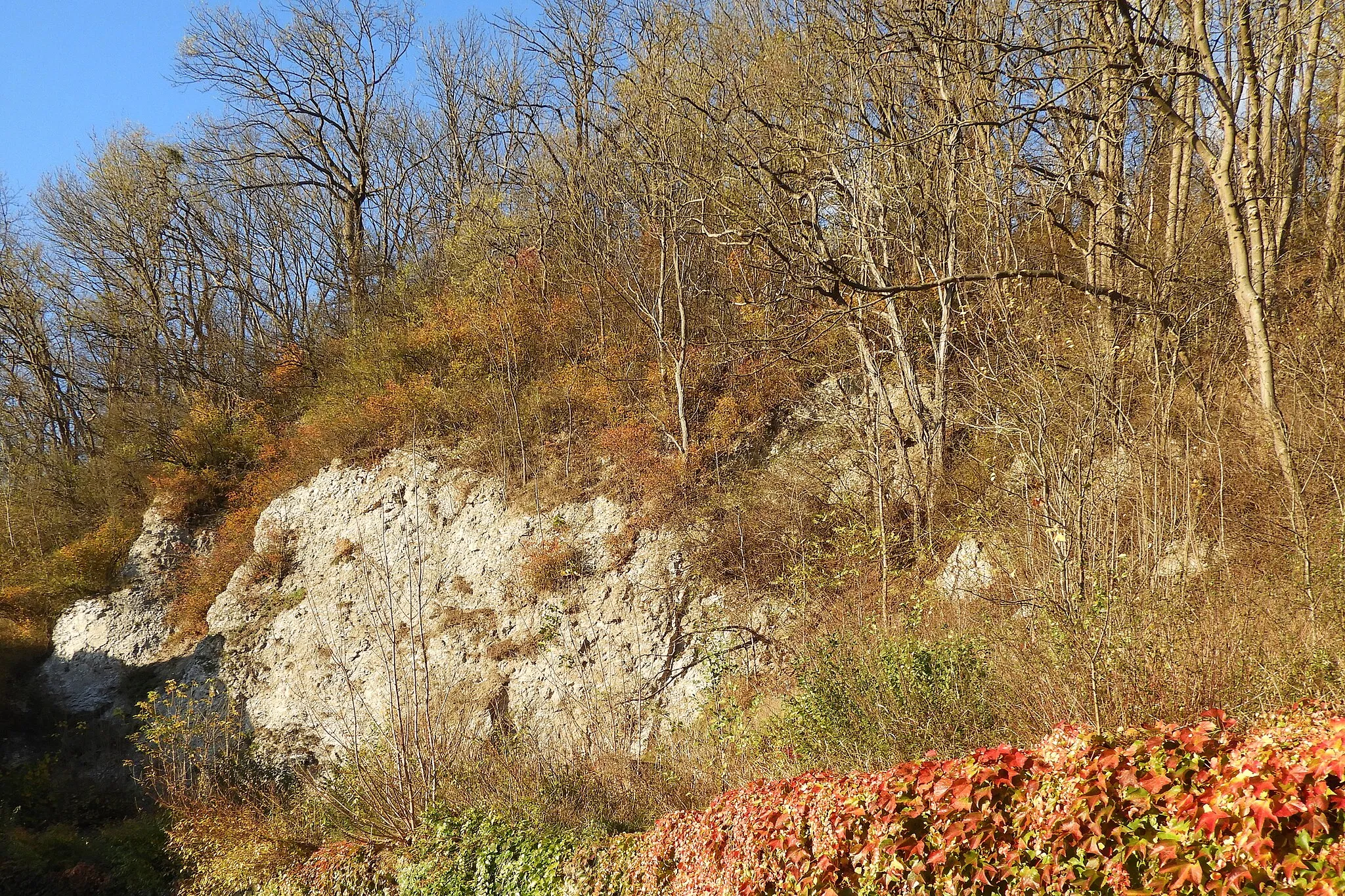 Photo showing: Das Flora-Fauna-Habitat-Gebiet „Gipskarst bei Berneburg“ ist ein Felsenbereich in Berneburg, einem Ortsteil der Stadt Sontra im nordhessischen Werra-Meißner-Kreis. Das kleine Karstgebiet beherbergt schutzwürdige Höhlen, die nicht zugänglich sind und von heimischen Fledermausarten als Überwinterungsquartiere genutzt werden. Eine davon ist die längste aktive Wasserhöhle Nordhessens. Kleinflächig kommen in dem geschützten Bereich Kalkfelsen, Magerrasen, Saumstrukturen sowie staudenreiche Waldränder vor. Sie bilden die Lebensgrundlage für eine vielfältige Tagfalter-, Widderchen- und Heuschreckenfauna.