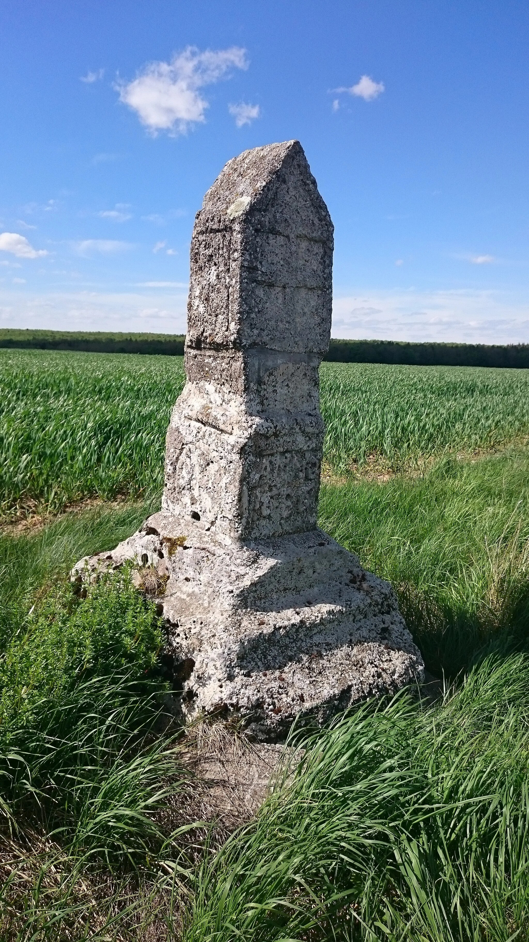 Photo showing: Betsäule bei Kalteneber: Name "Steinerner Heiligenstock", errichtet 1586 oder 1686, mit Balkenkreiz und Mainzer Rad, Flurbezeichnung vom Bildstock abgeleitet