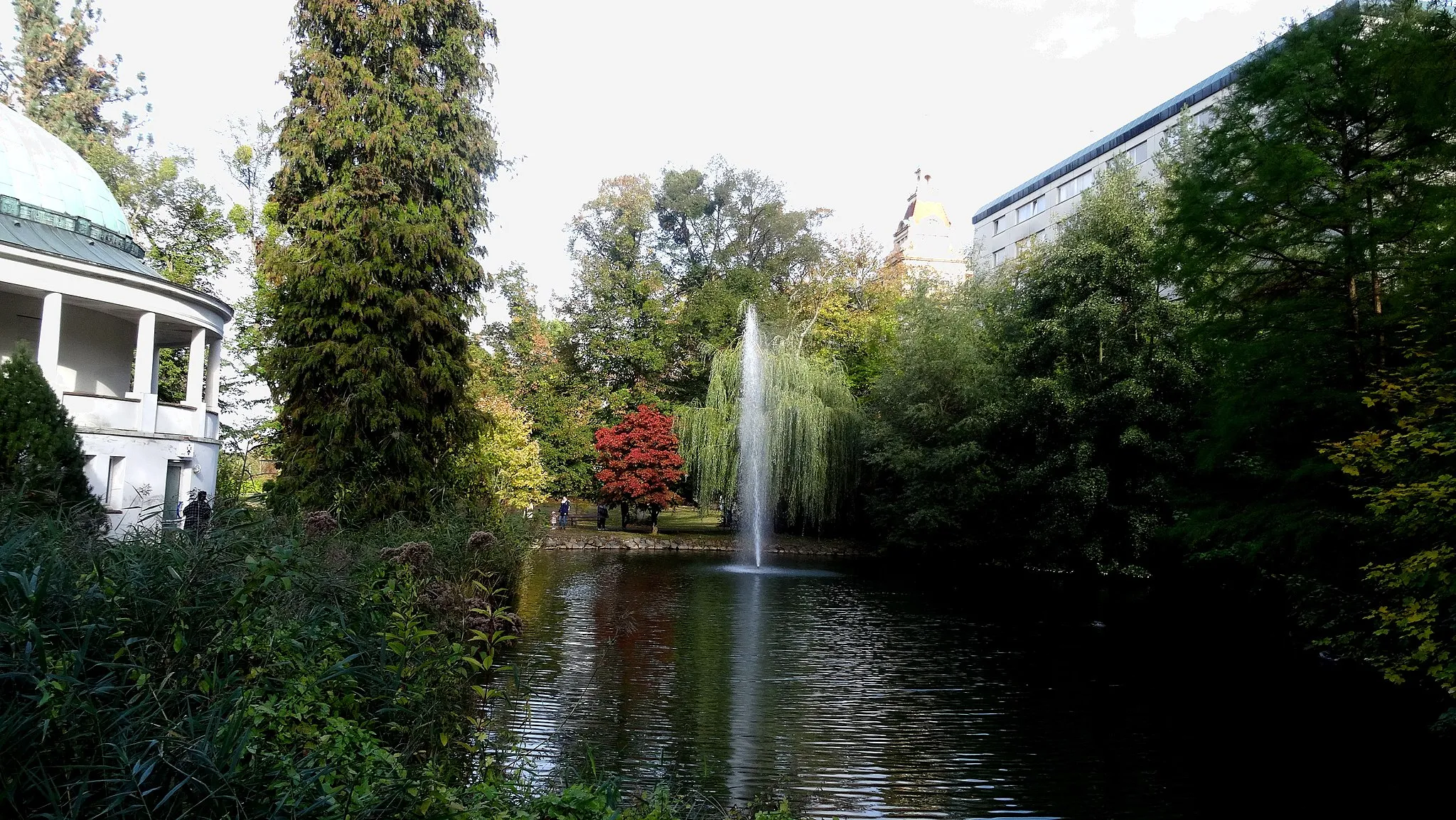 Photo showing: Kurpark Willingen unterhalb der Askeplios Klinik