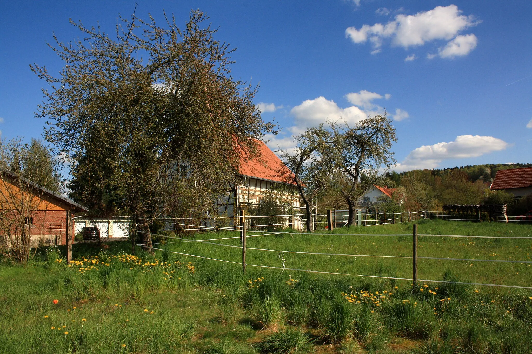 Photo showing: Apfelbäume in Eichenzell-Welkers