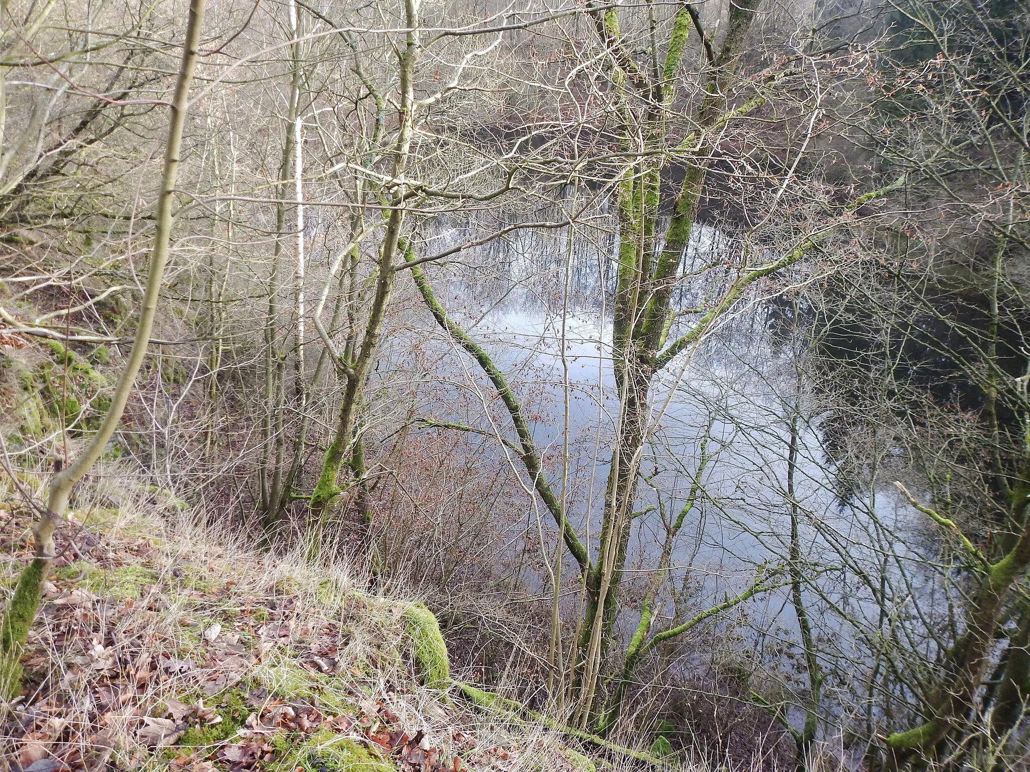 Photo showing: Silbersee bei Dörnberg (Habichtswald)