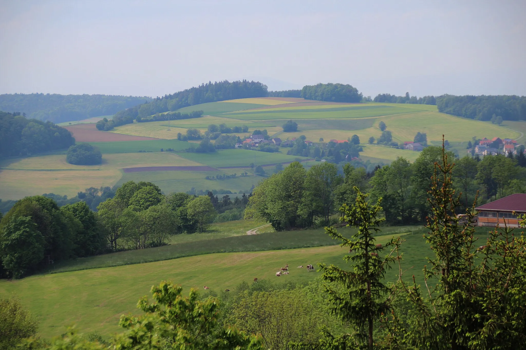 Photo showing: Wahrscheinlich unbenannte Erhebung bei Poppenhausen (Rhön), Blick vom Gebiet zwischen Guckaisee und Schwarzerden etwa westnordwestwärts