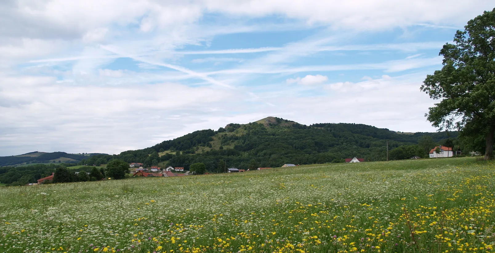 Photo showing: Pferdskopf, Rhön, Germany