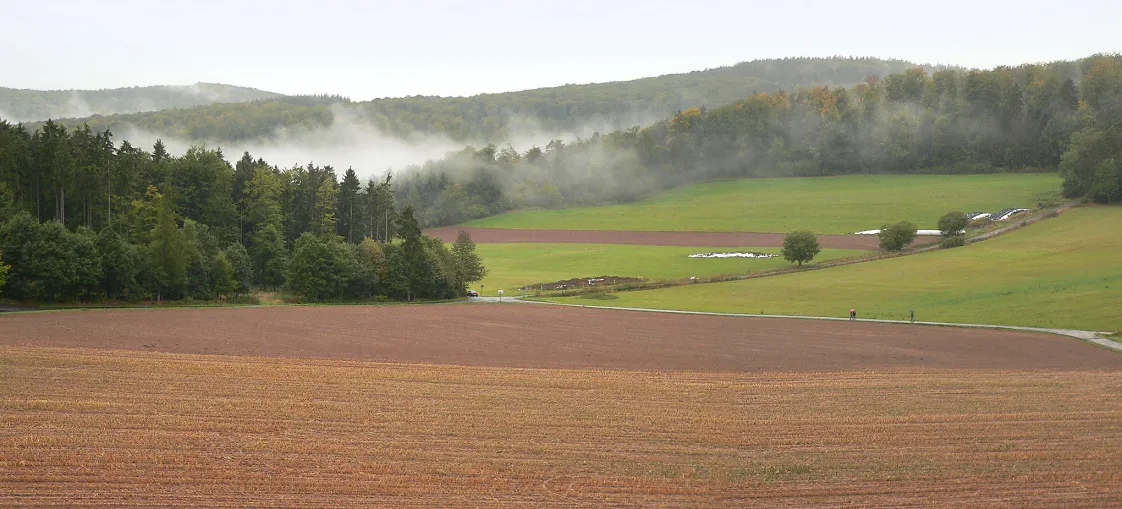 Photo showing: Kellerwald bei Bad Zwesten, Hessen, Deutschland