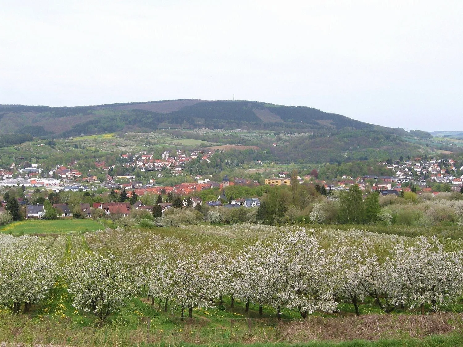 Photo showing: Germany / Hesse: the town of Witzenhausen: mountaintop view to the town at the time of cherry blossoming