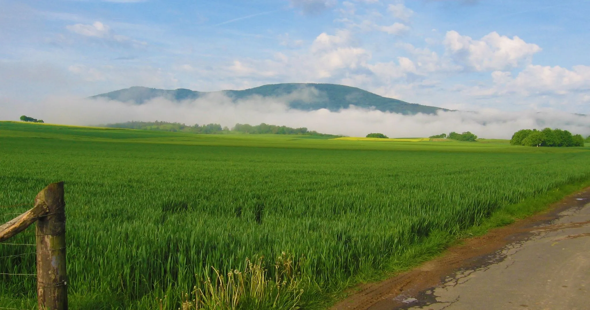 Photo showing: Teil des Hohen Meißner aus Sicht von Orferode (rechts die Kasseler Kuppe und links die Kalbe)